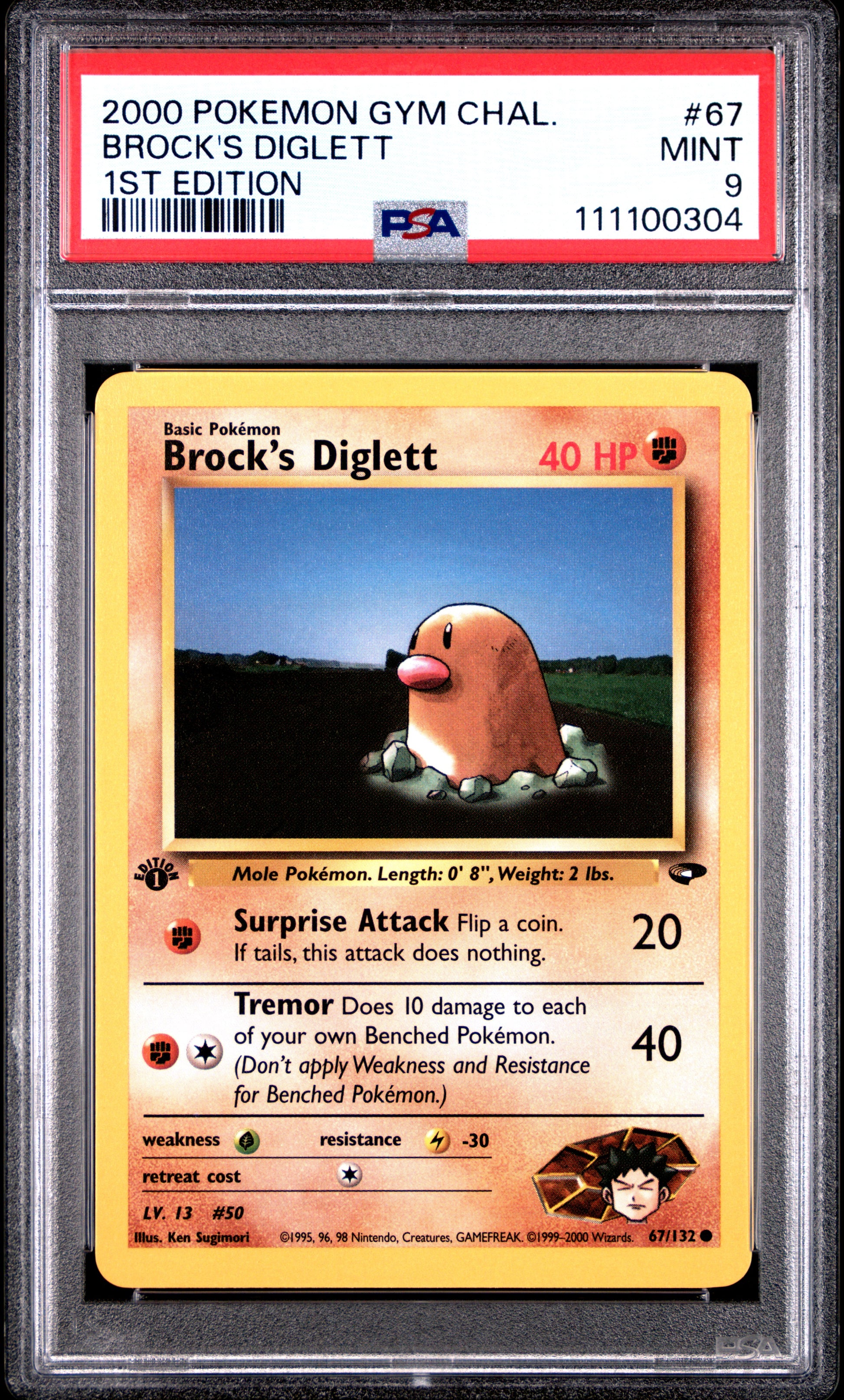 BROCK'S DIGLETT