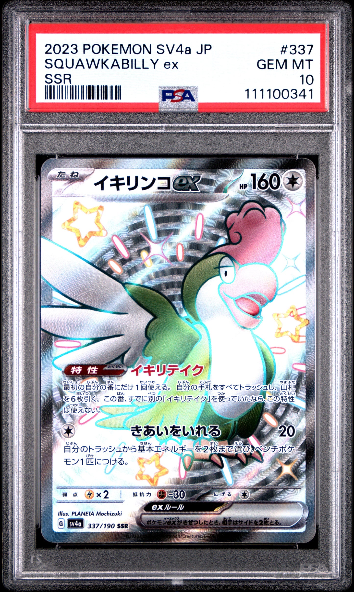 SQUAWKABILLY ex