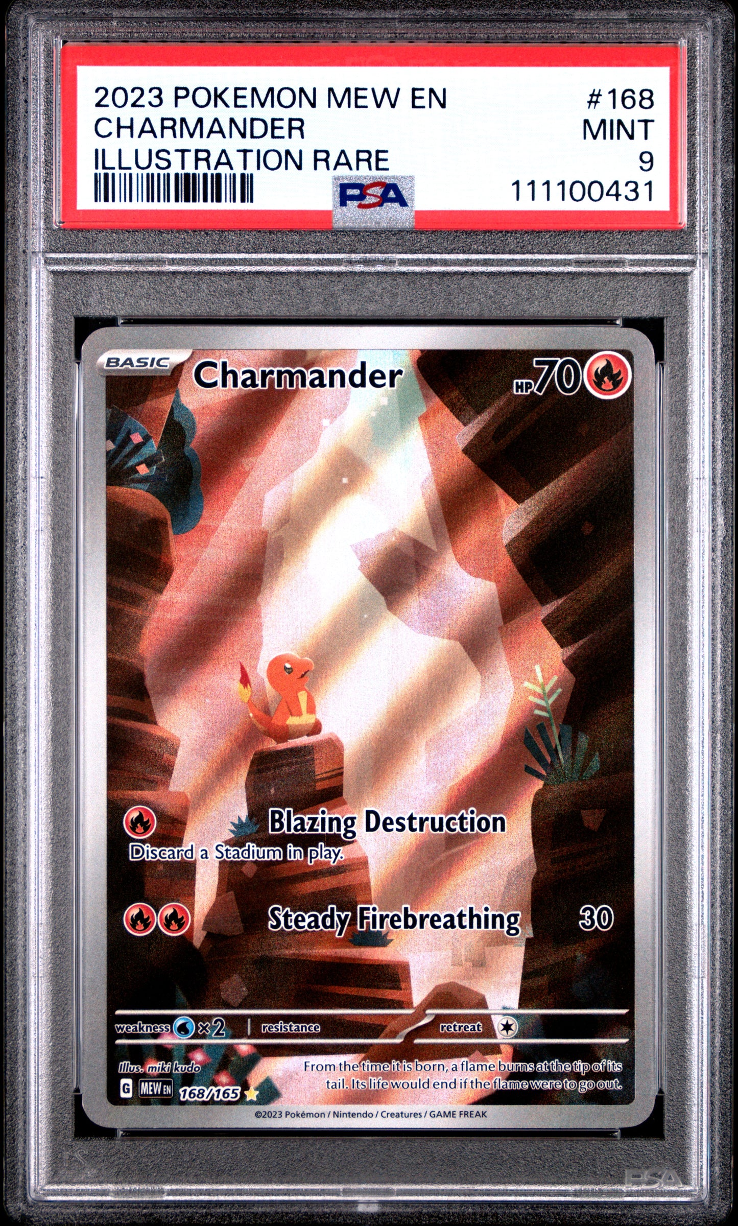 CHARMANDER