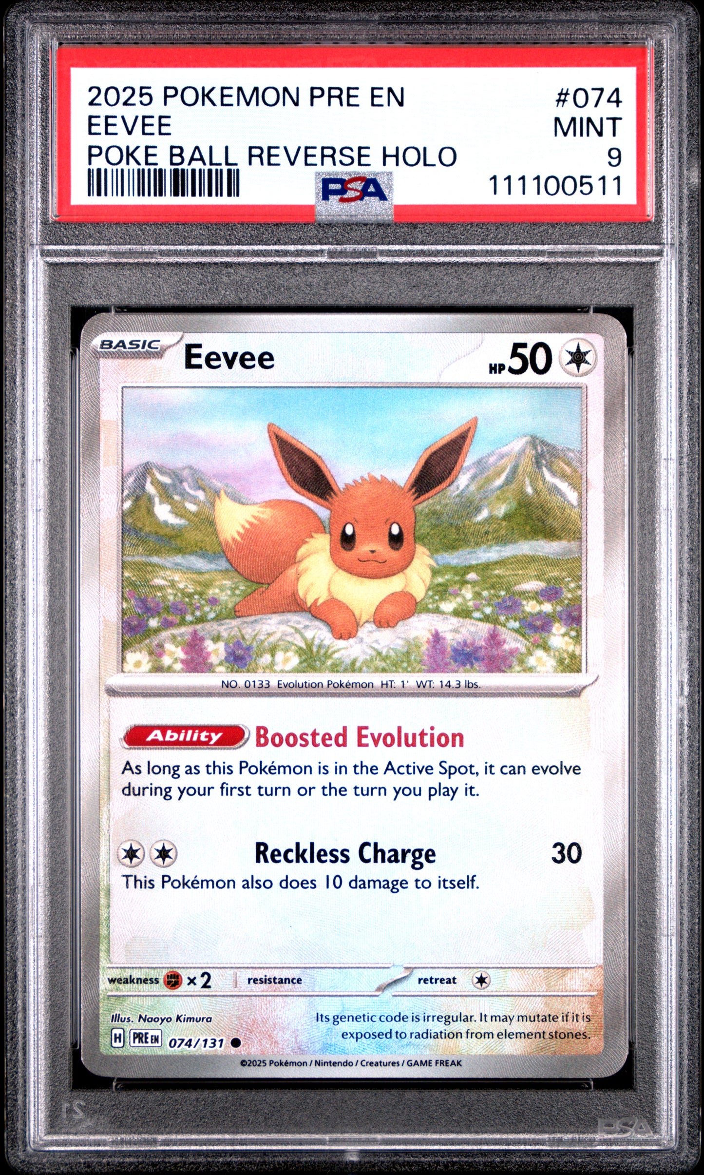 EEVEE