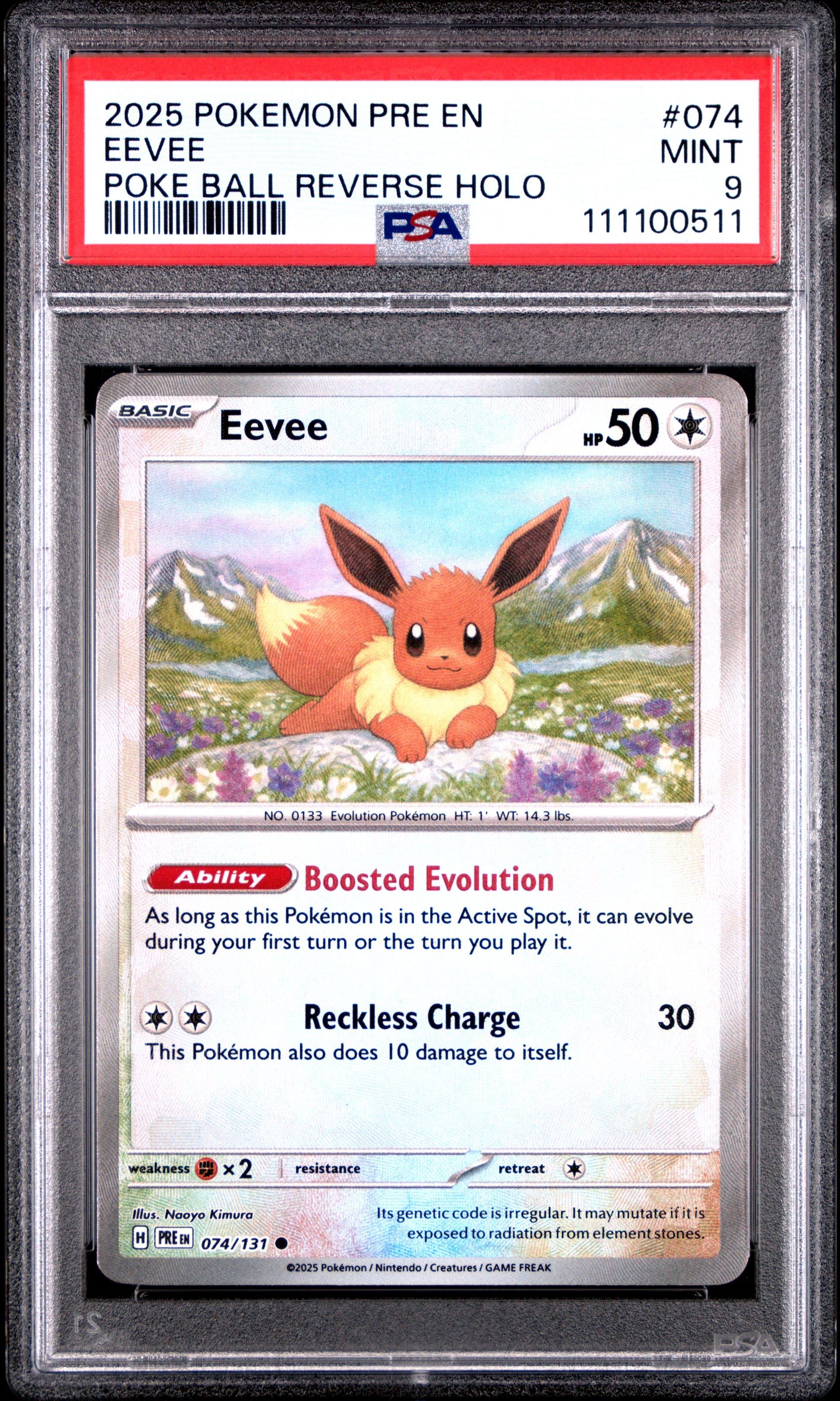 EEVEE