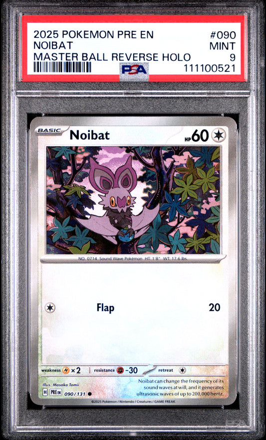 NOIBAT