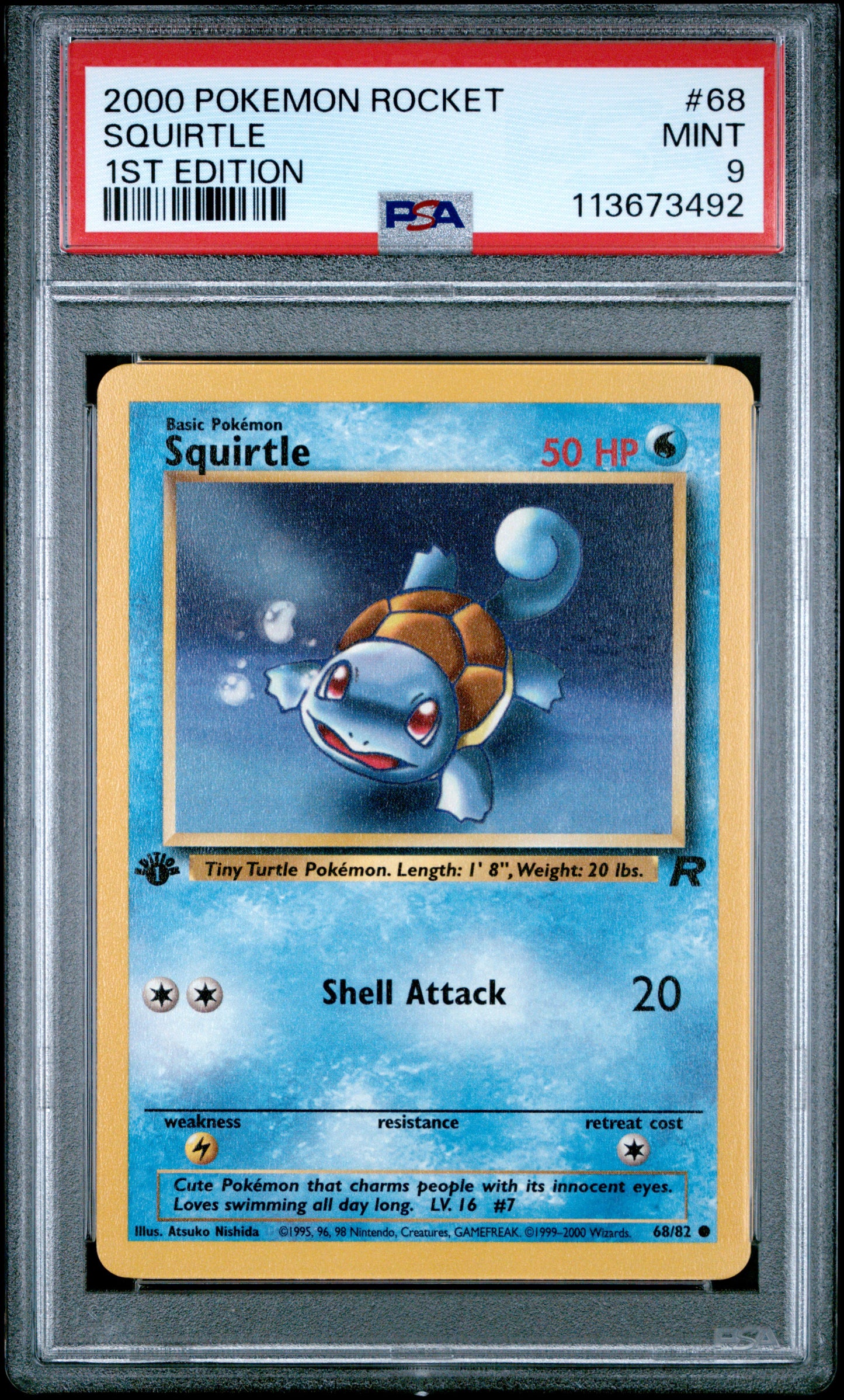 SQUIRTLE