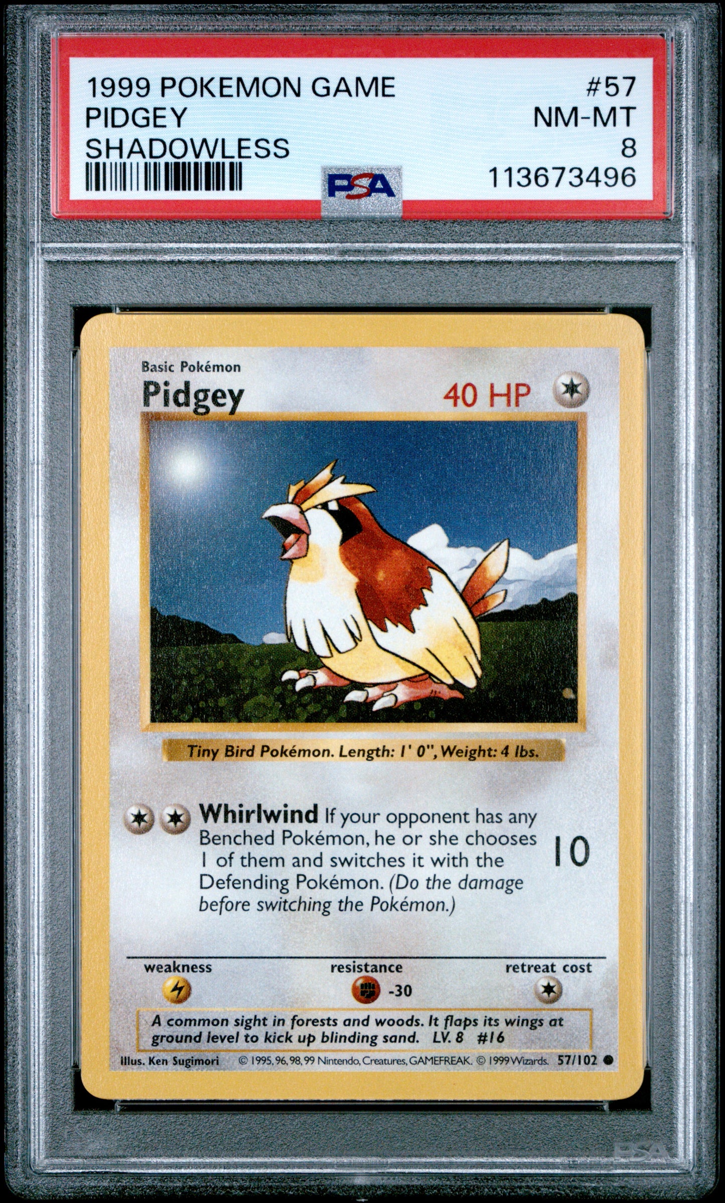 PIDGEY