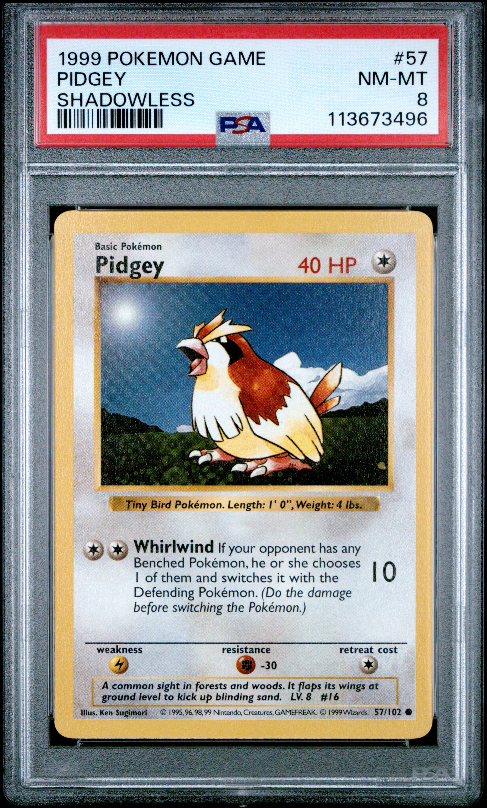 PIDGEY