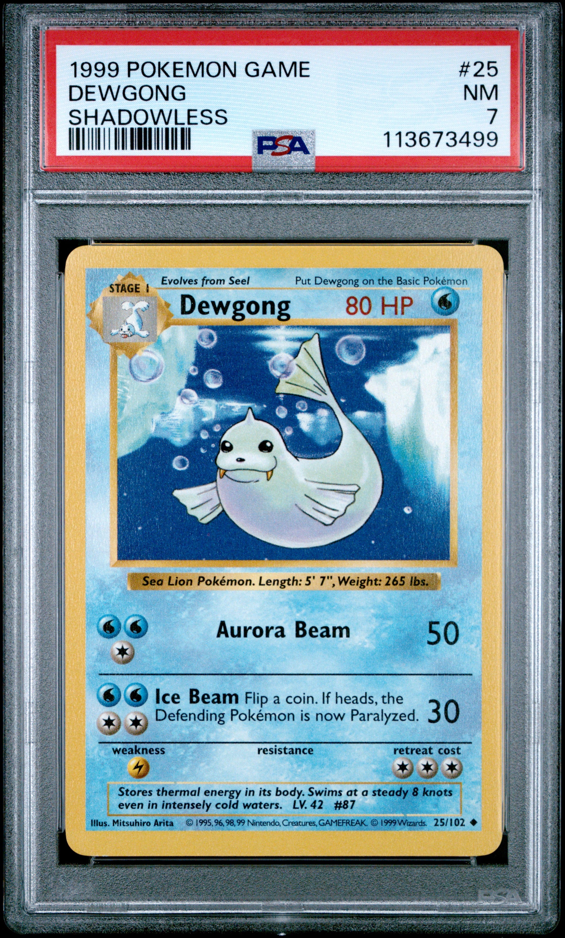 DEWGONG