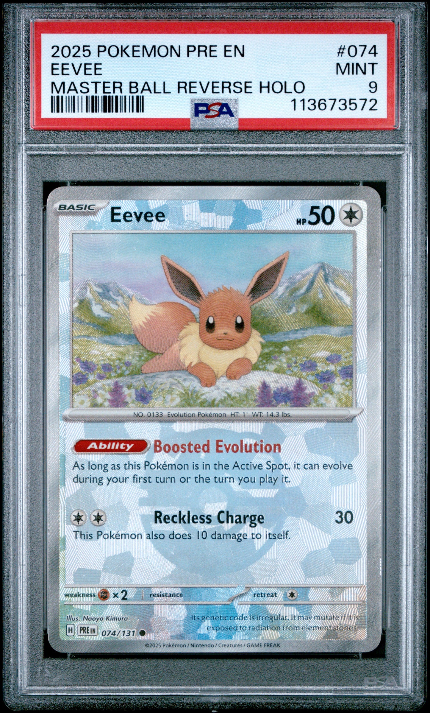 EEVEE