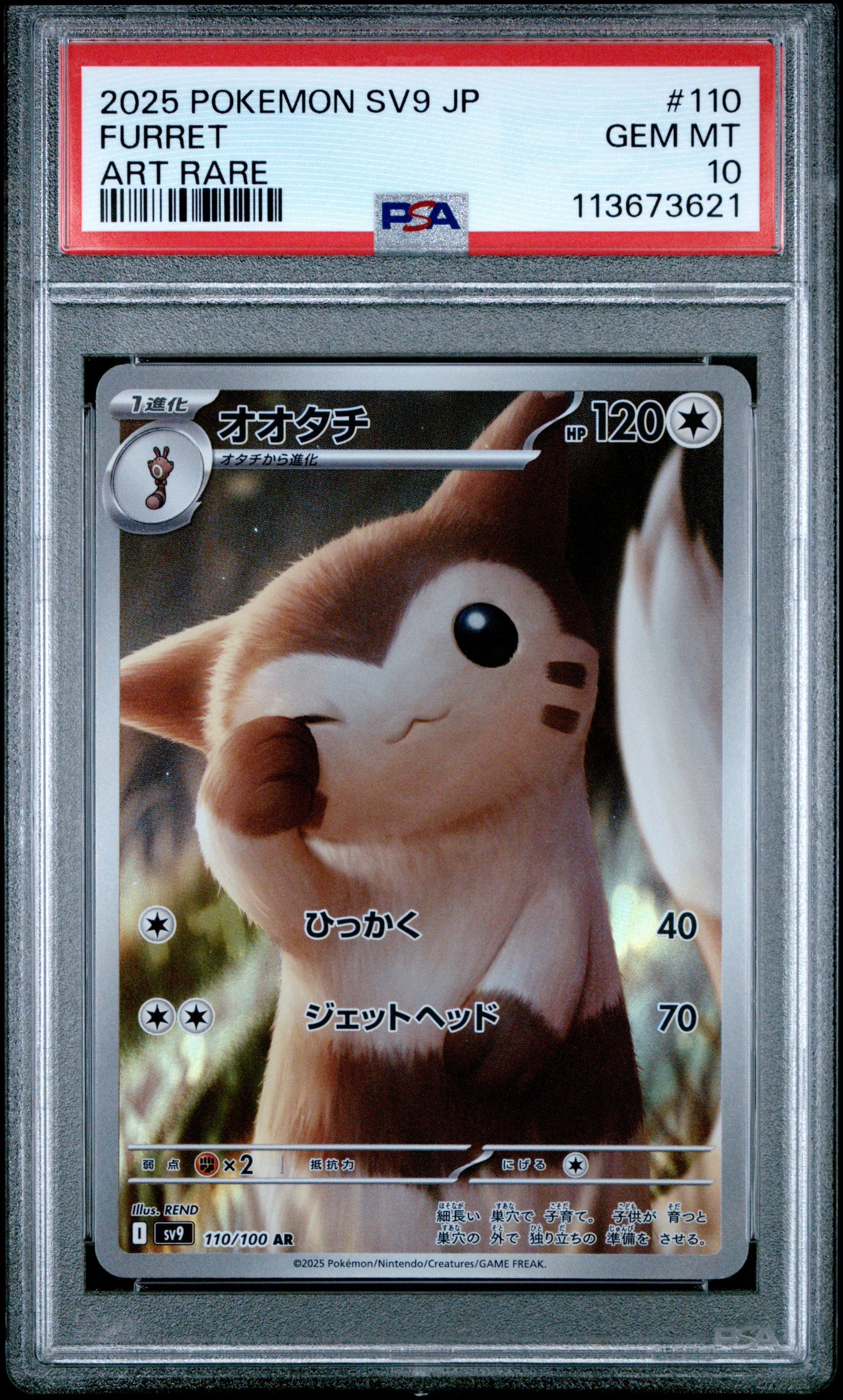 FURRET