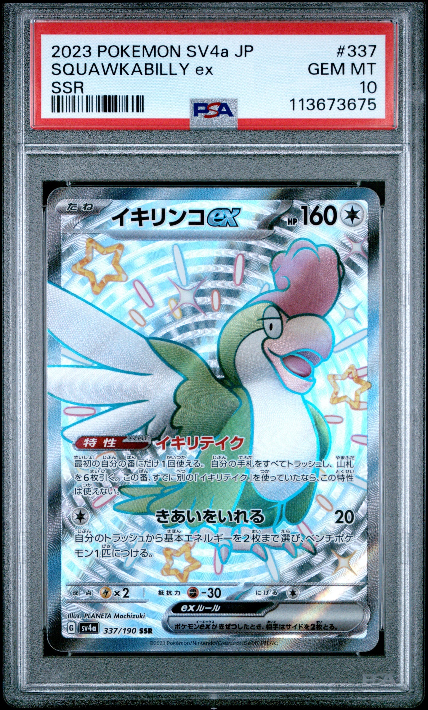 SQUAWKABILLY ex