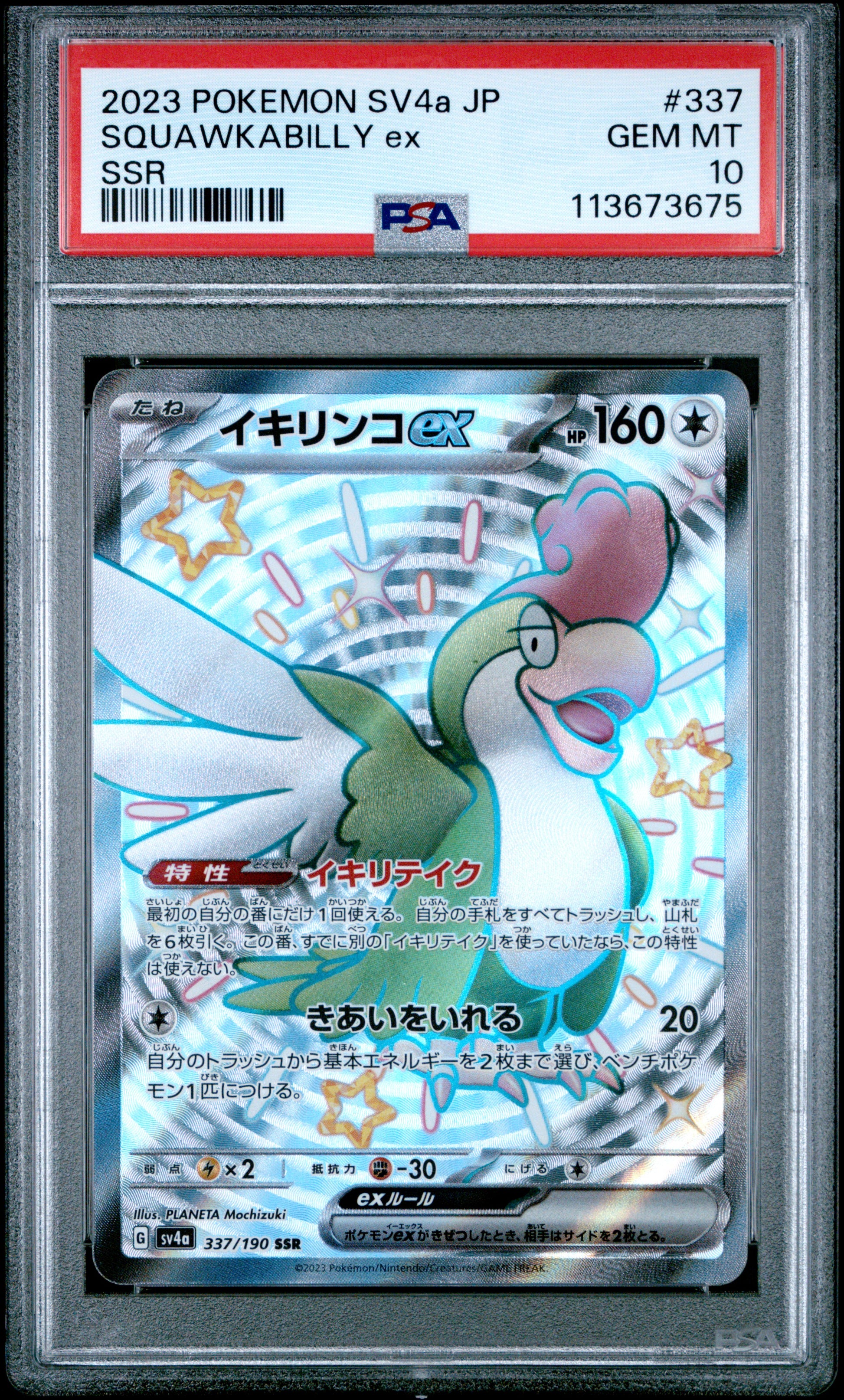 SQUAWKABILLY ex