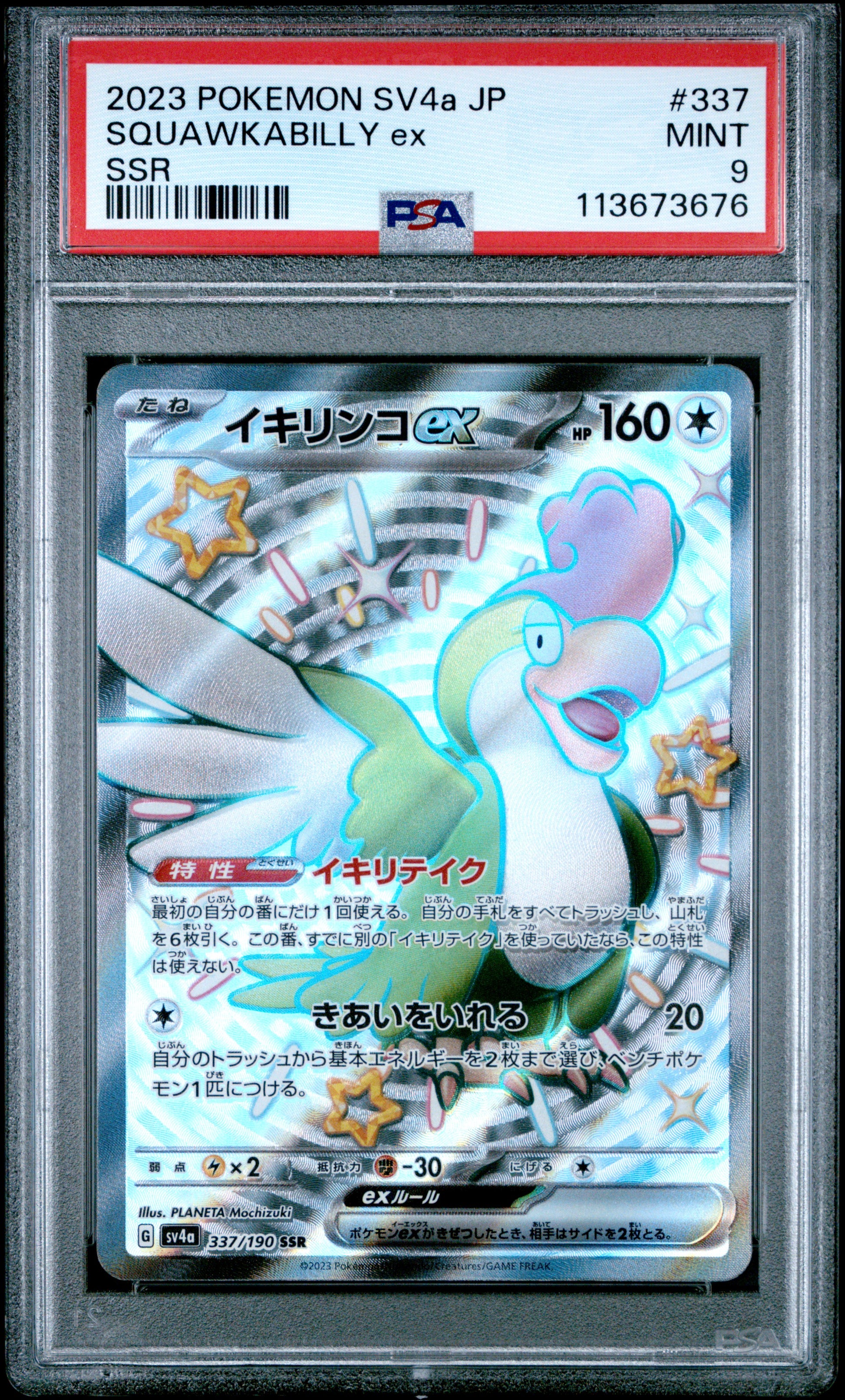 SQUAWKABILLY ex