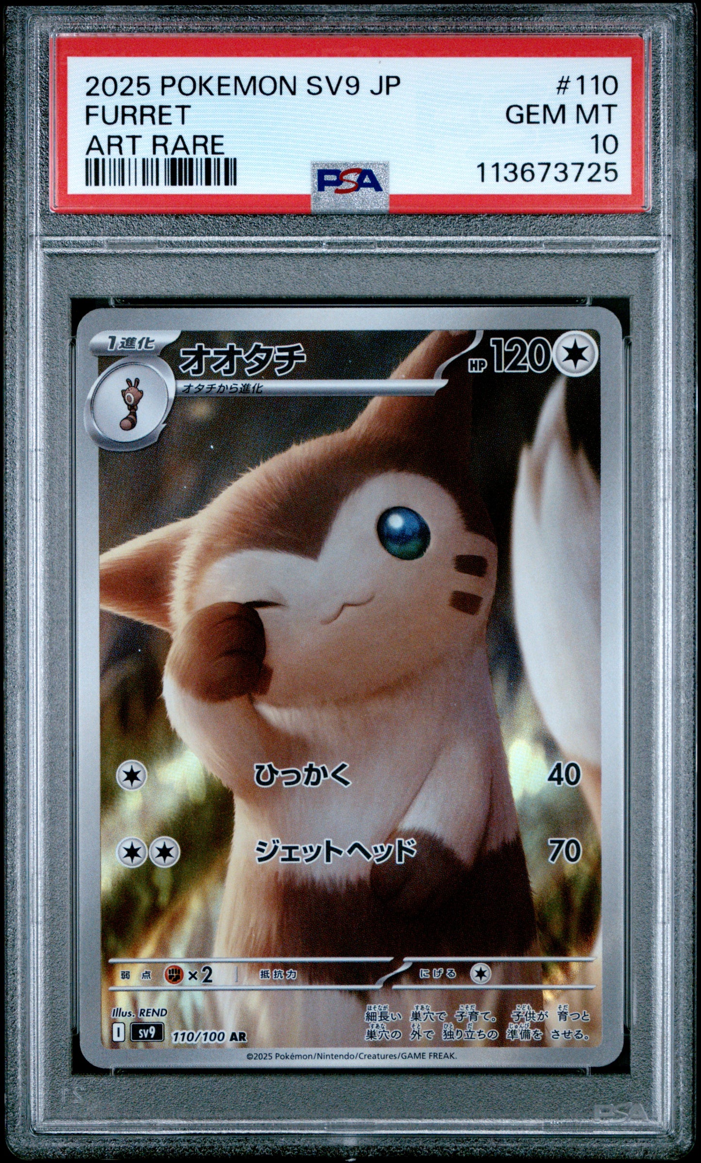 FURRET