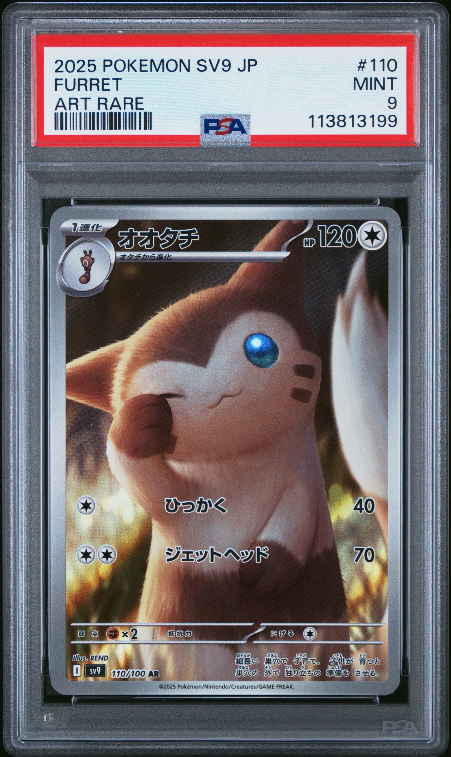 FURRET