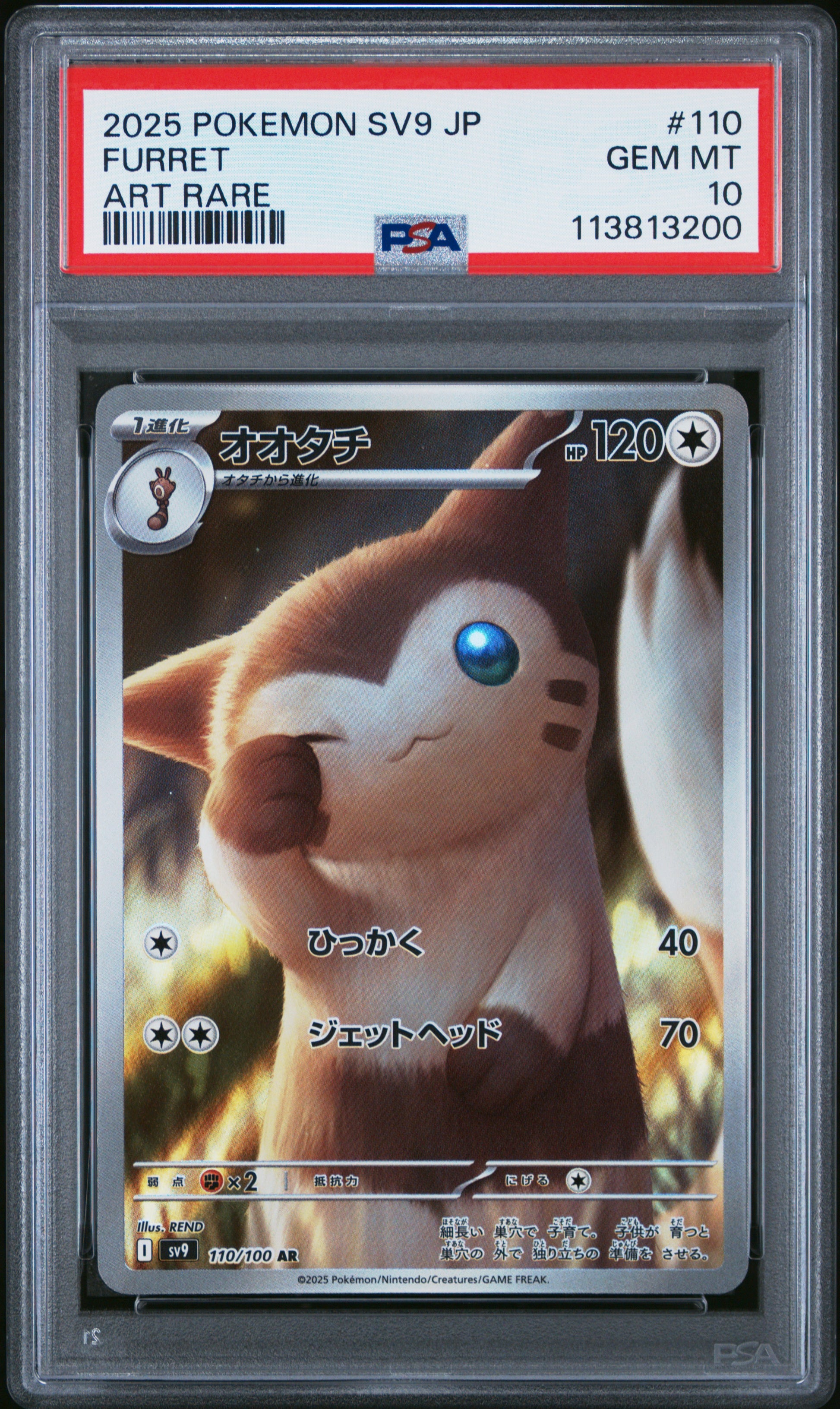 FURRET