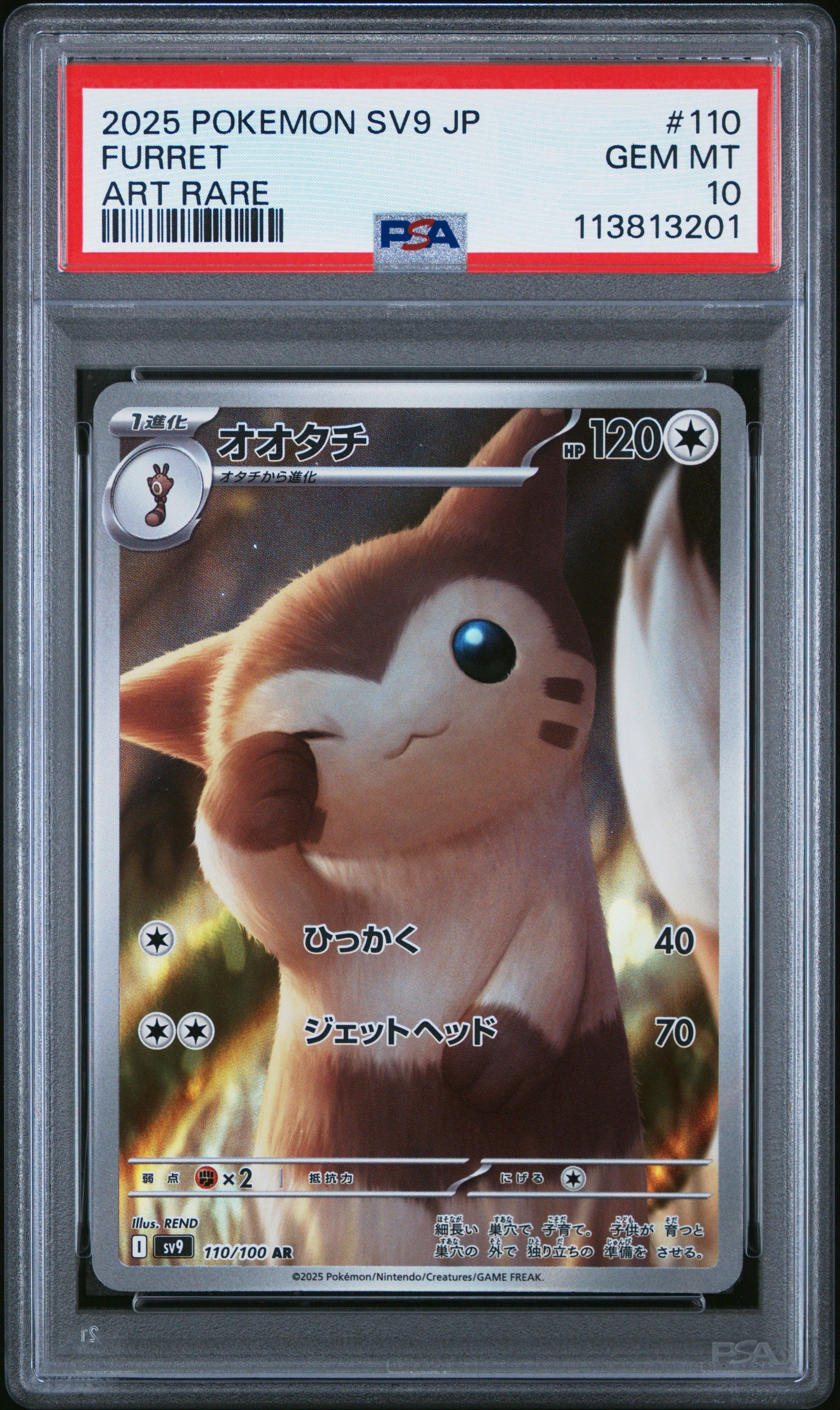 FURRET