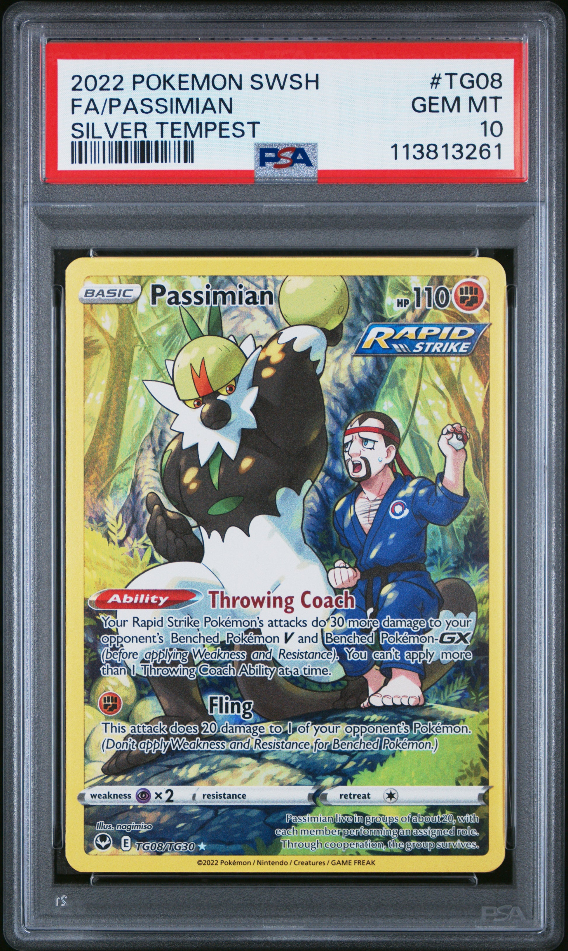 PASSIMIAN
