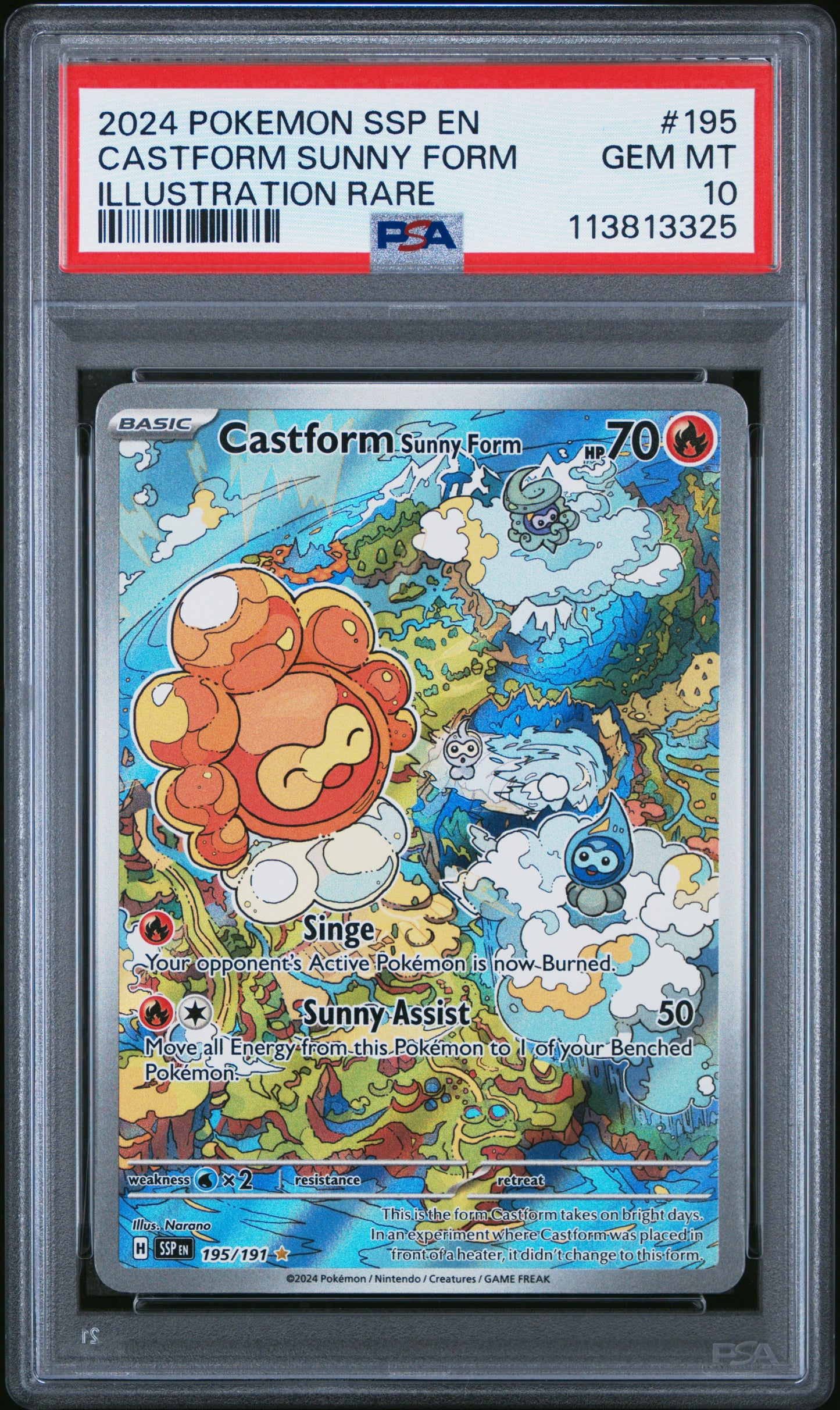 CASTFORM SUNNY FORM