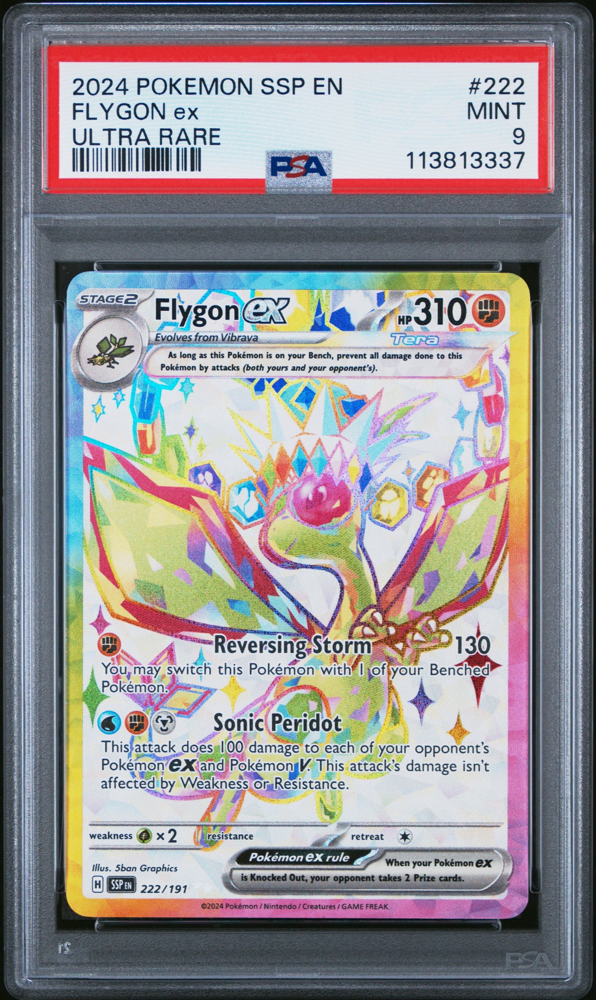 FLYGON ex