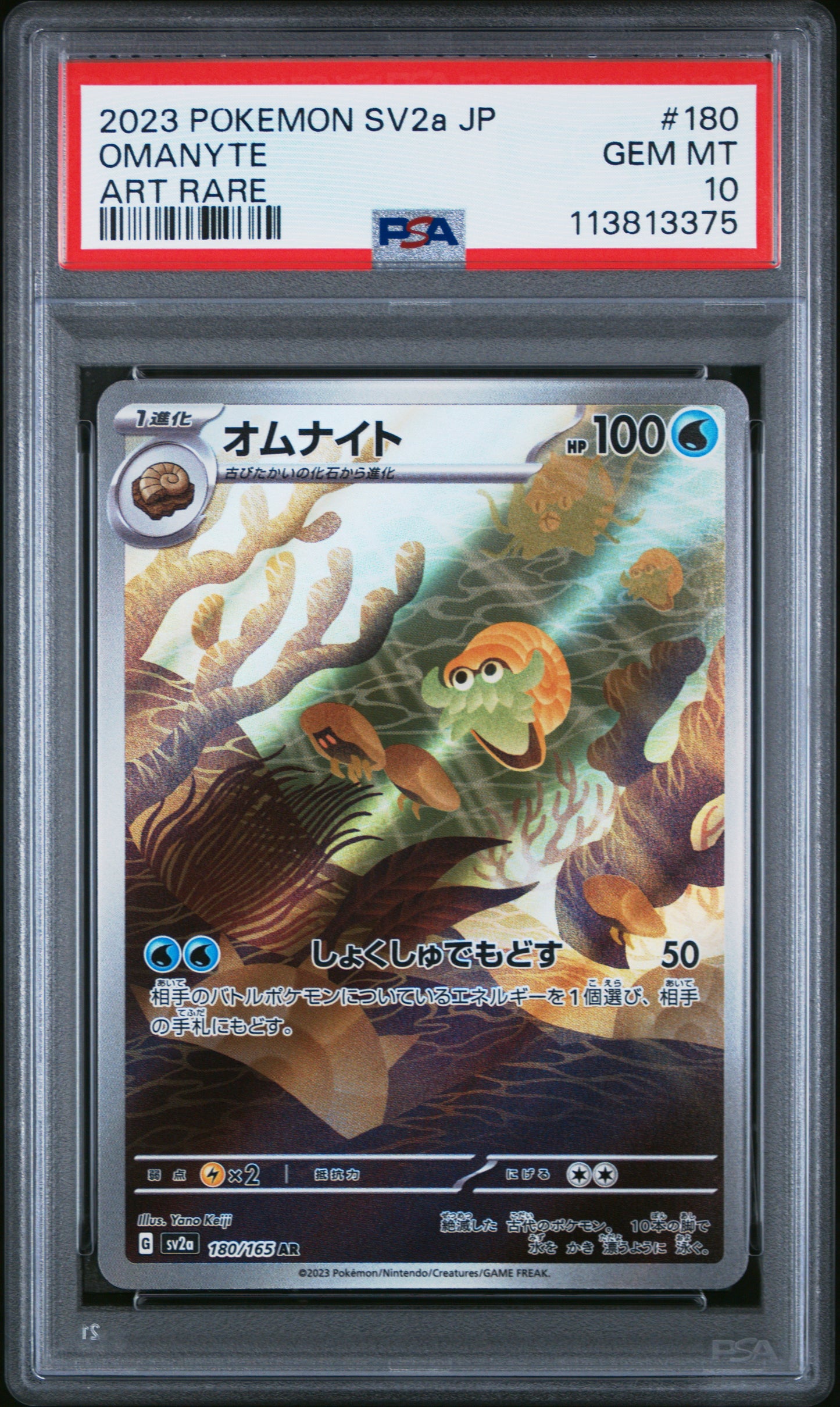 OMANYTE