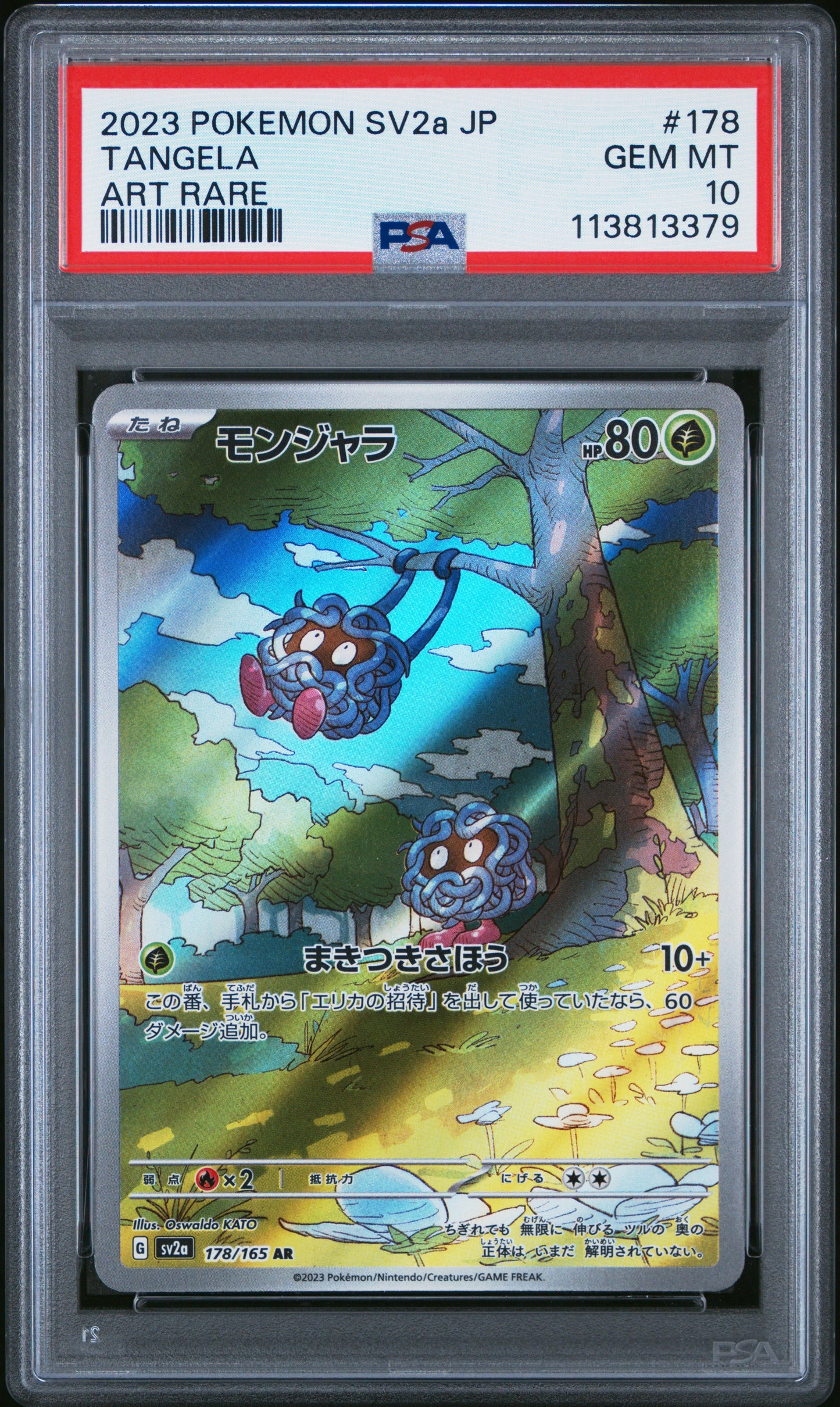 TANGELA
