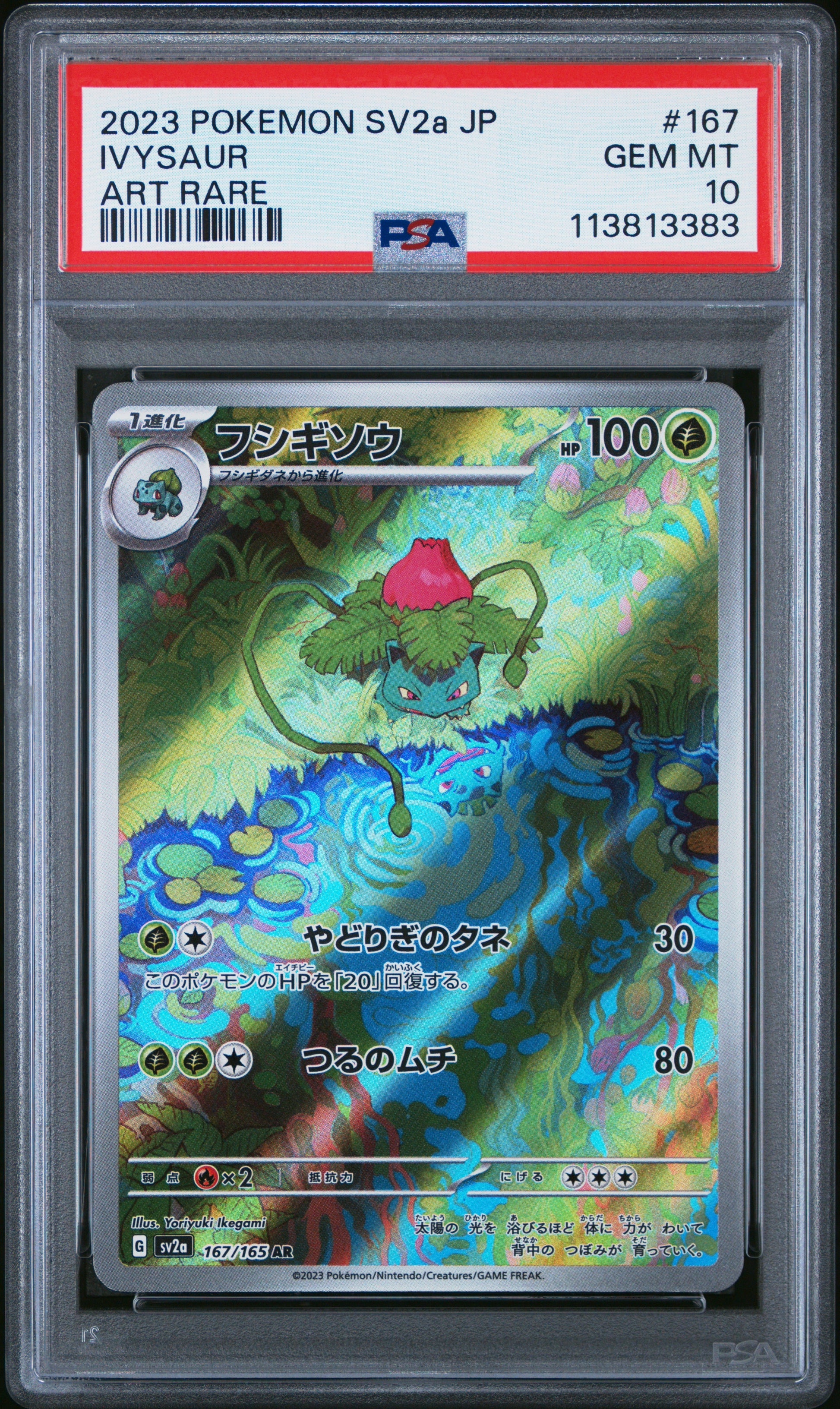 IVYSAUR