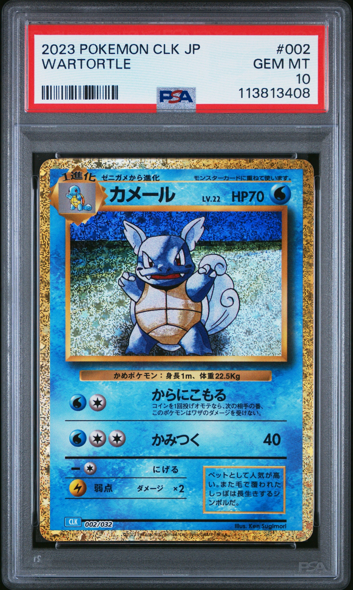 WARTORTLE