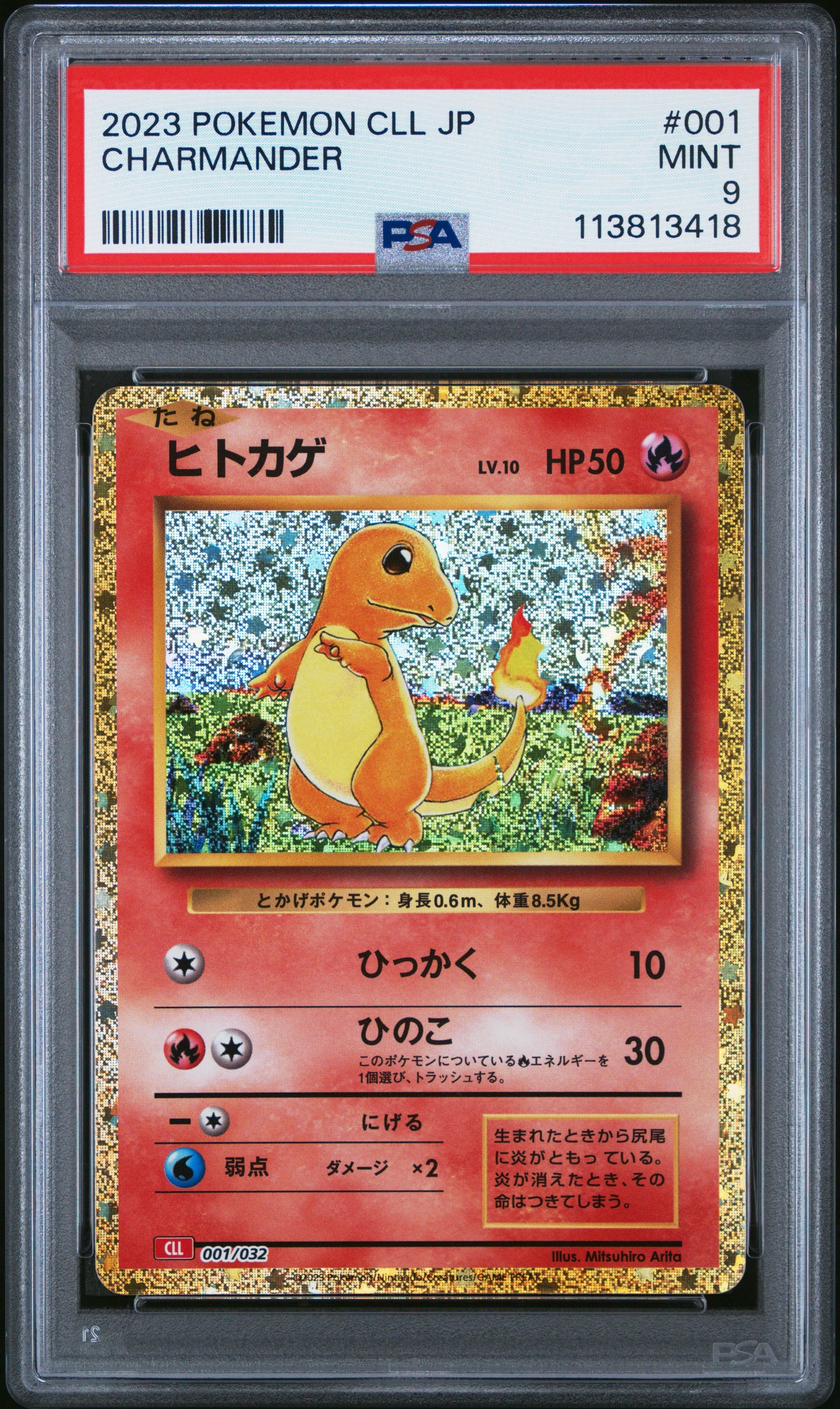 CHARMANDER