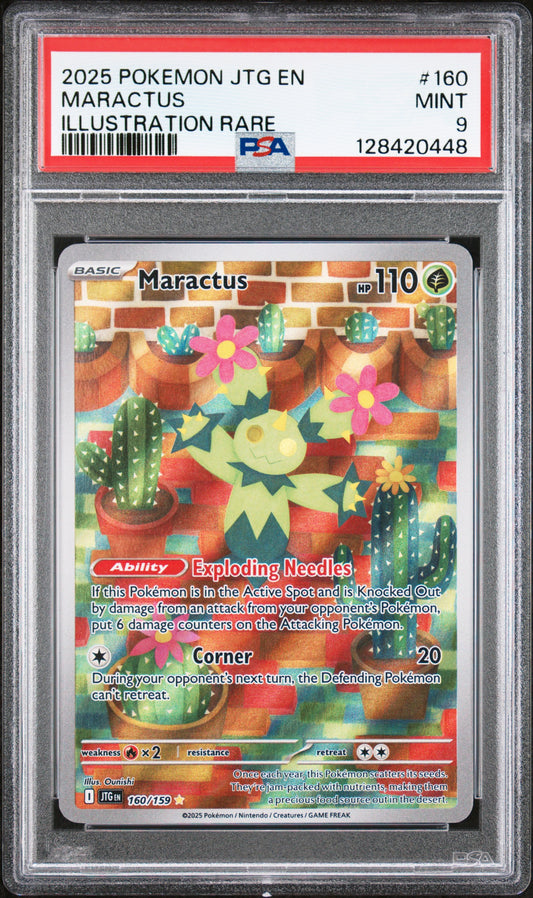 MARACTUS