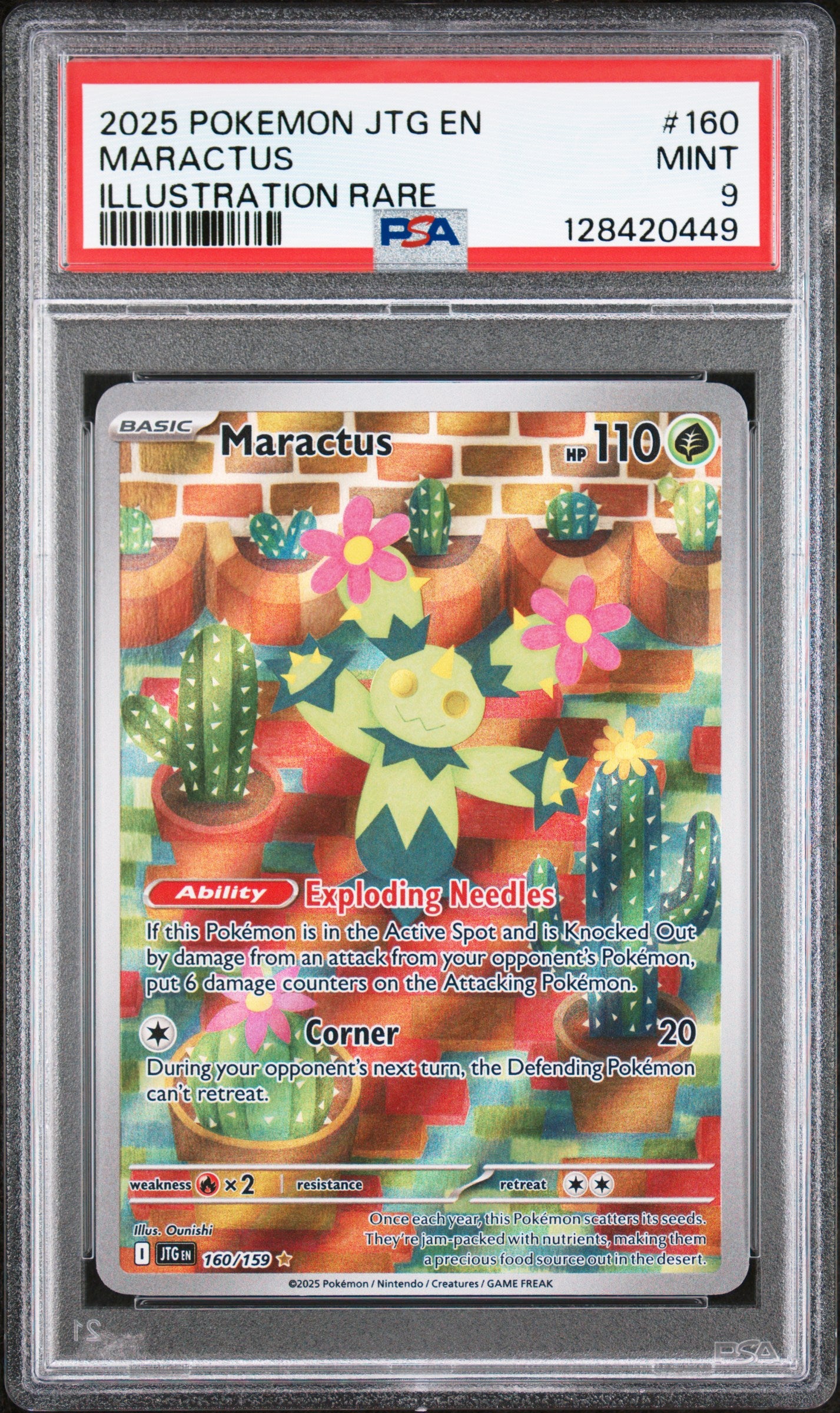 MARACTUS