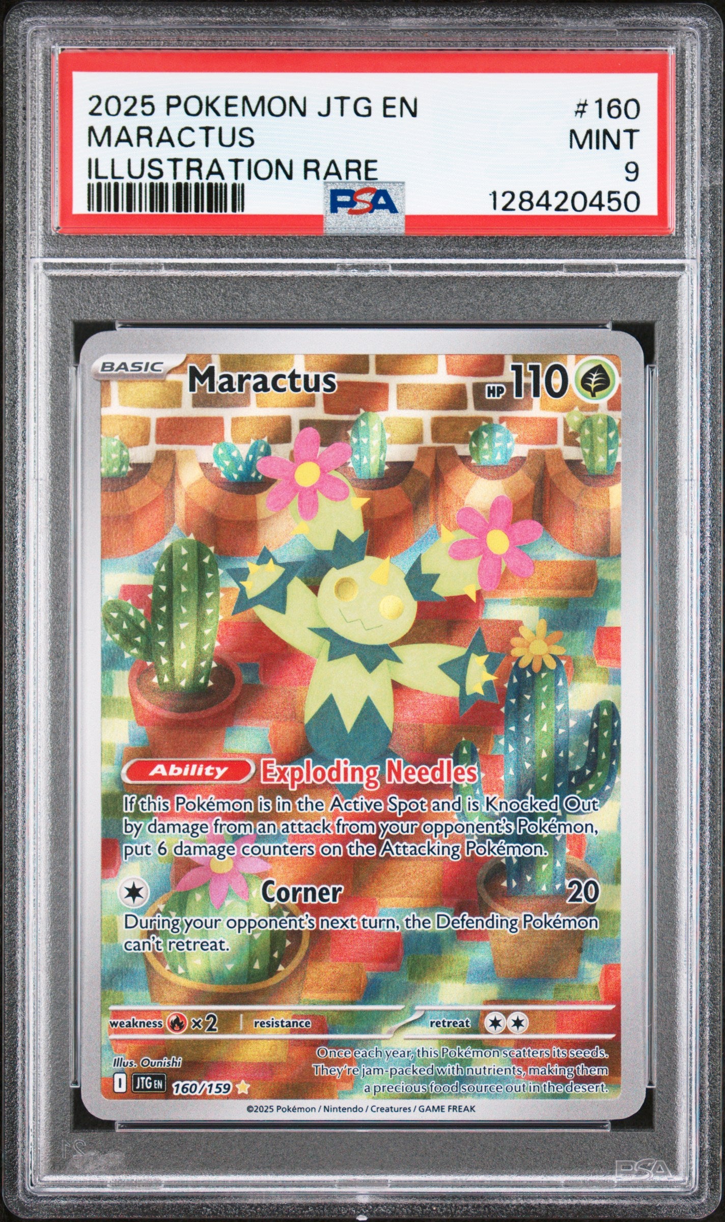MARACTUS