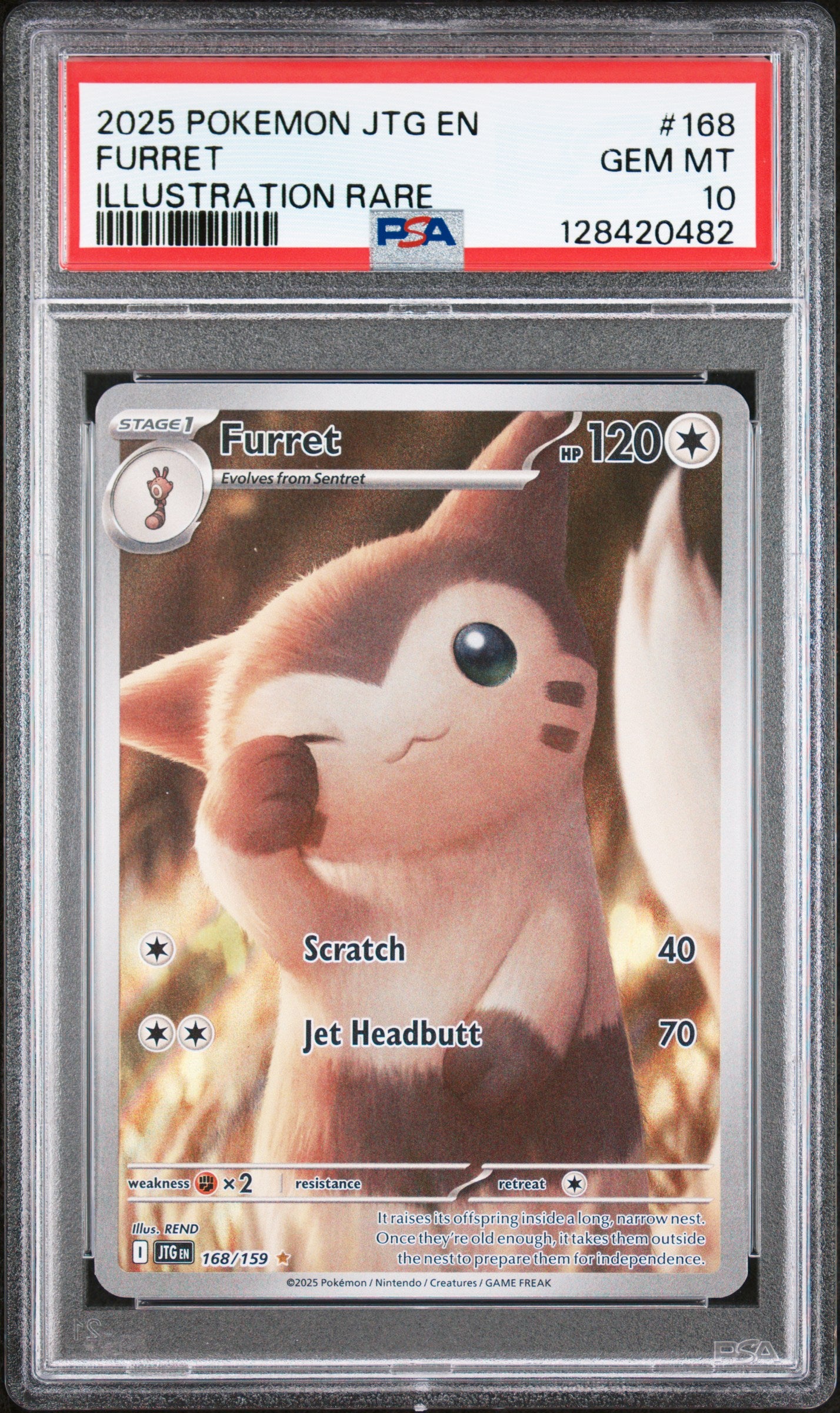 FURRET