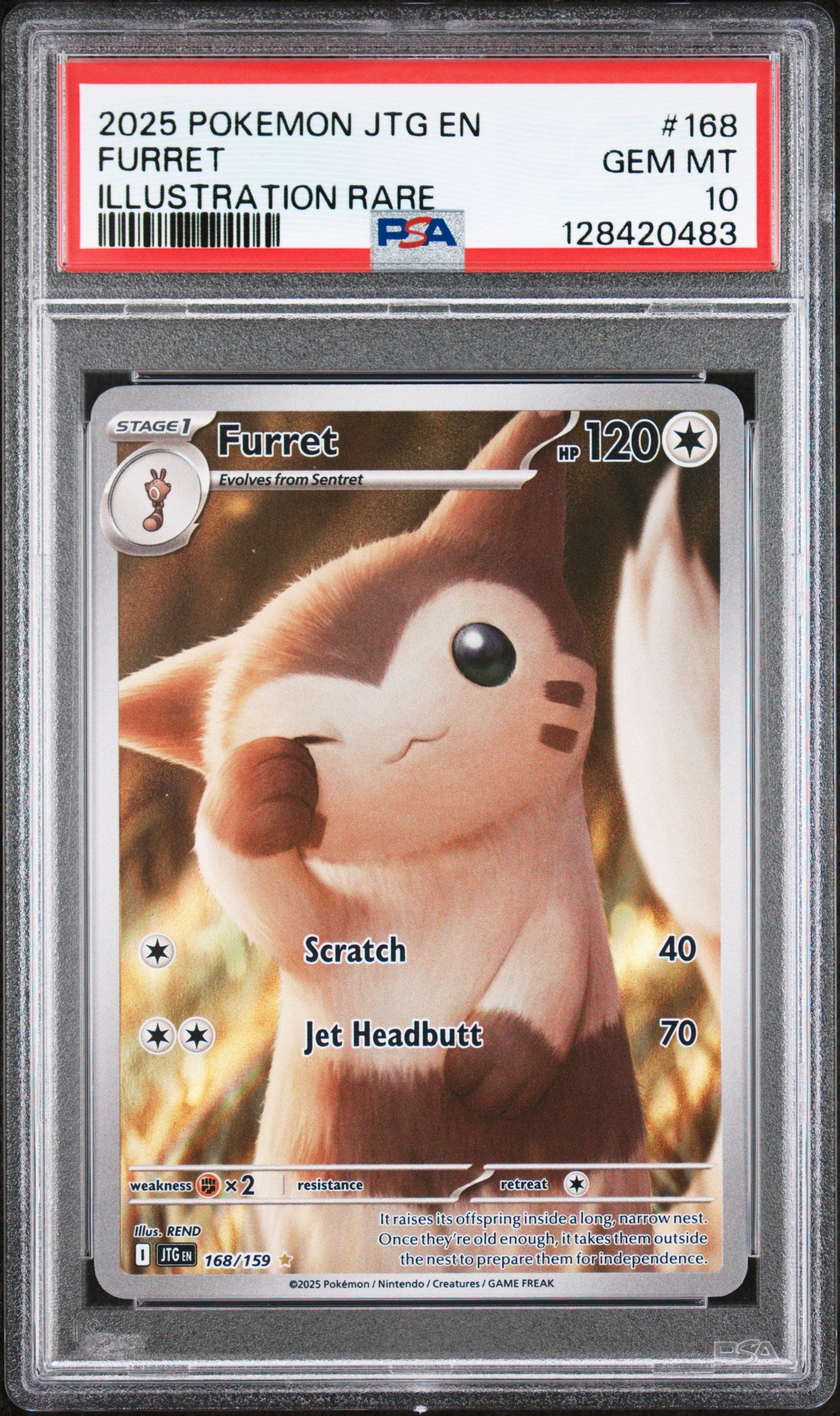 FURRET