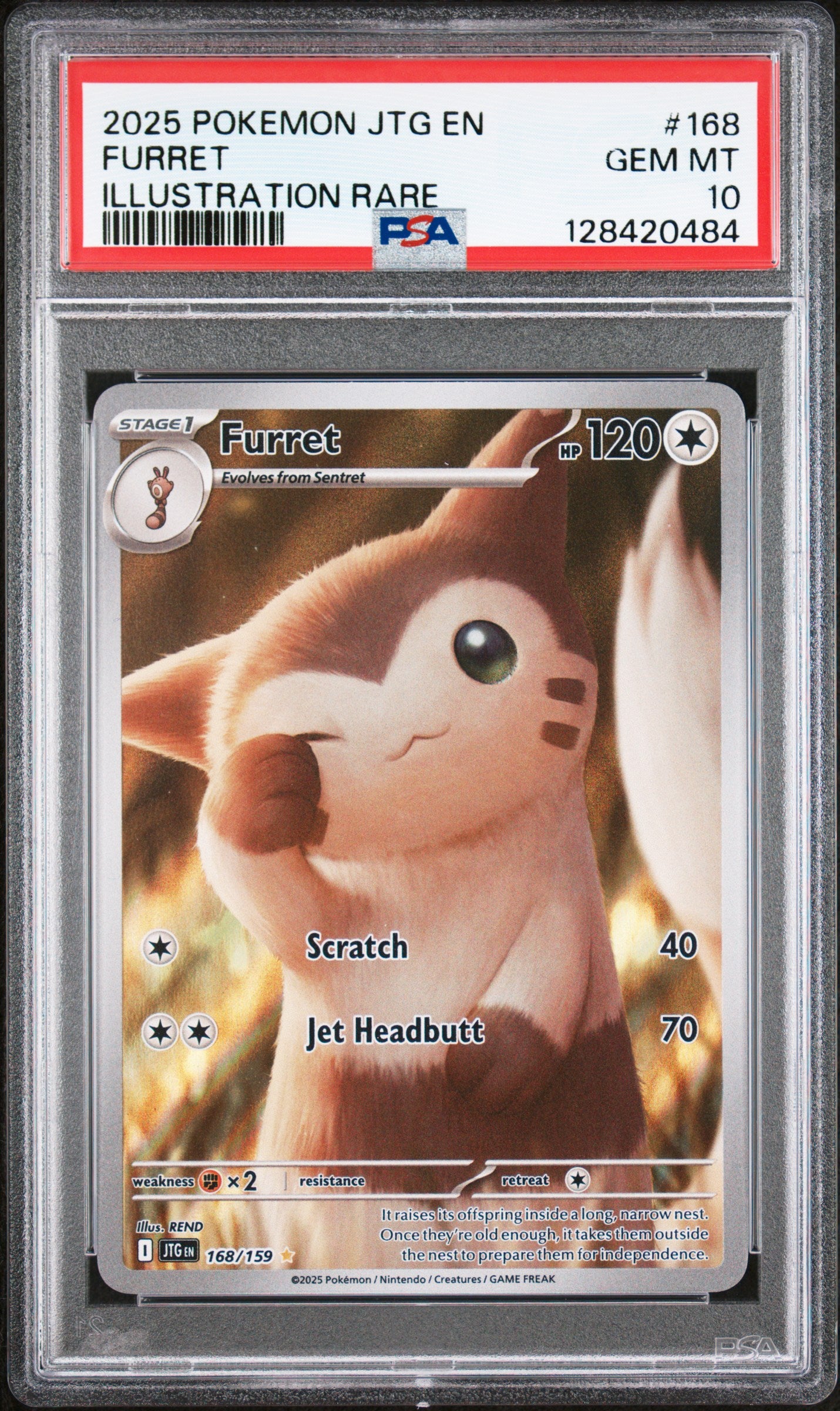 FURRET