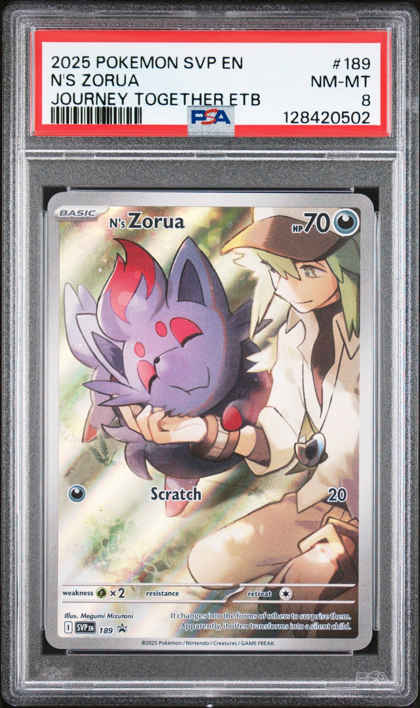 N'S ZORUA