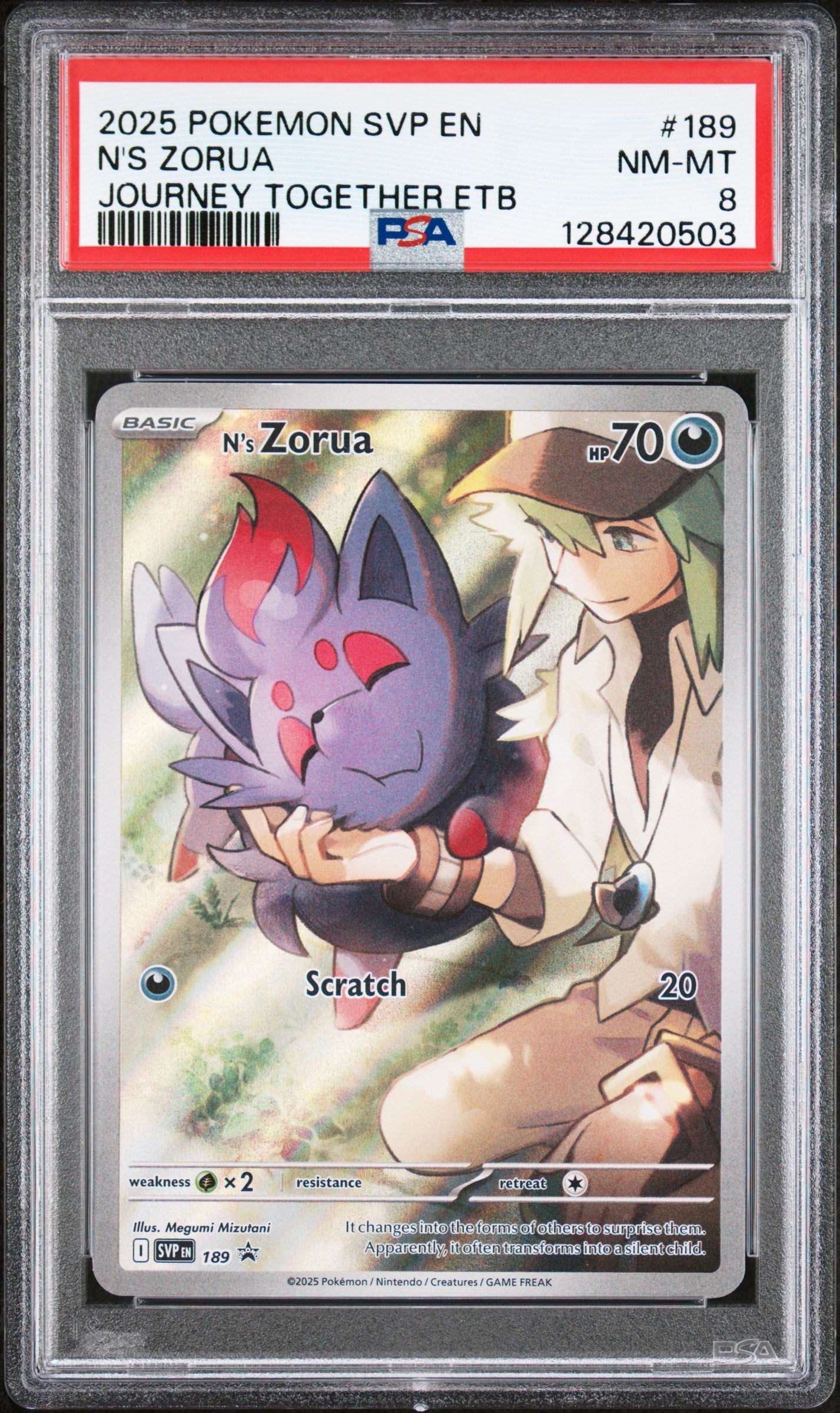 N'S ZORUA