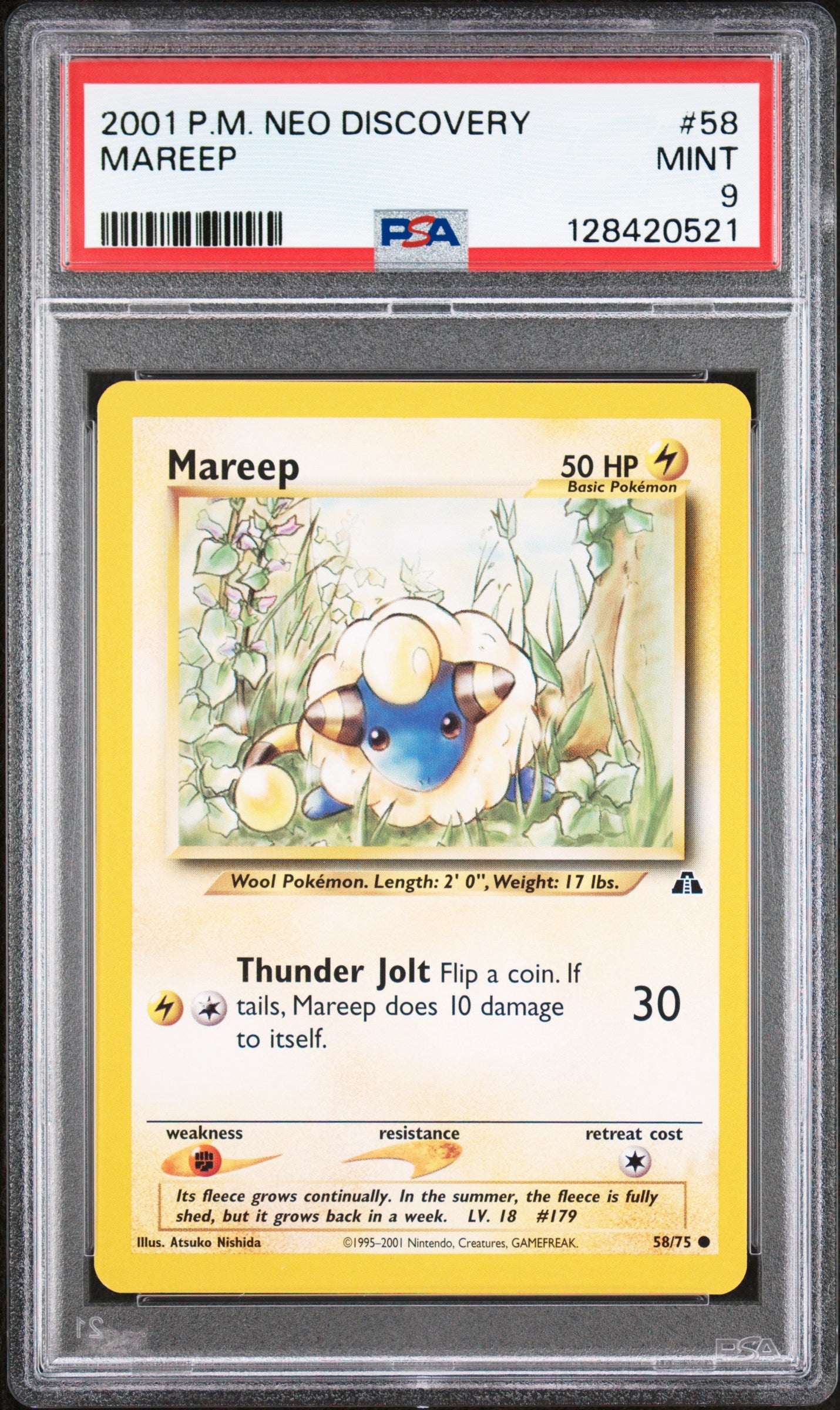 MAREEP