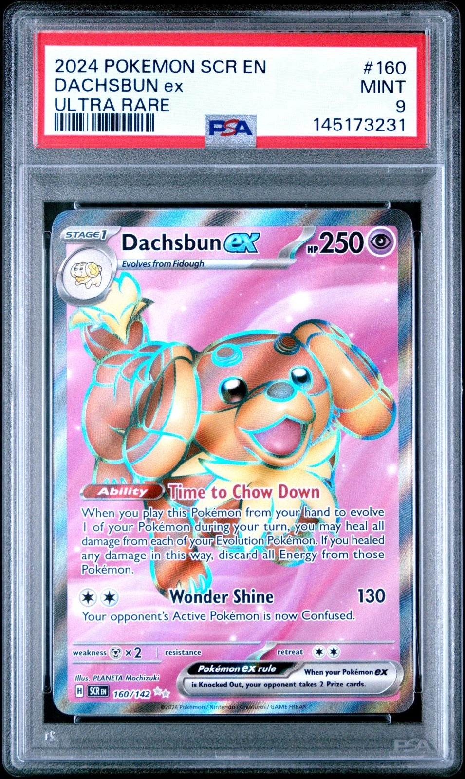 DACHSBUN ex