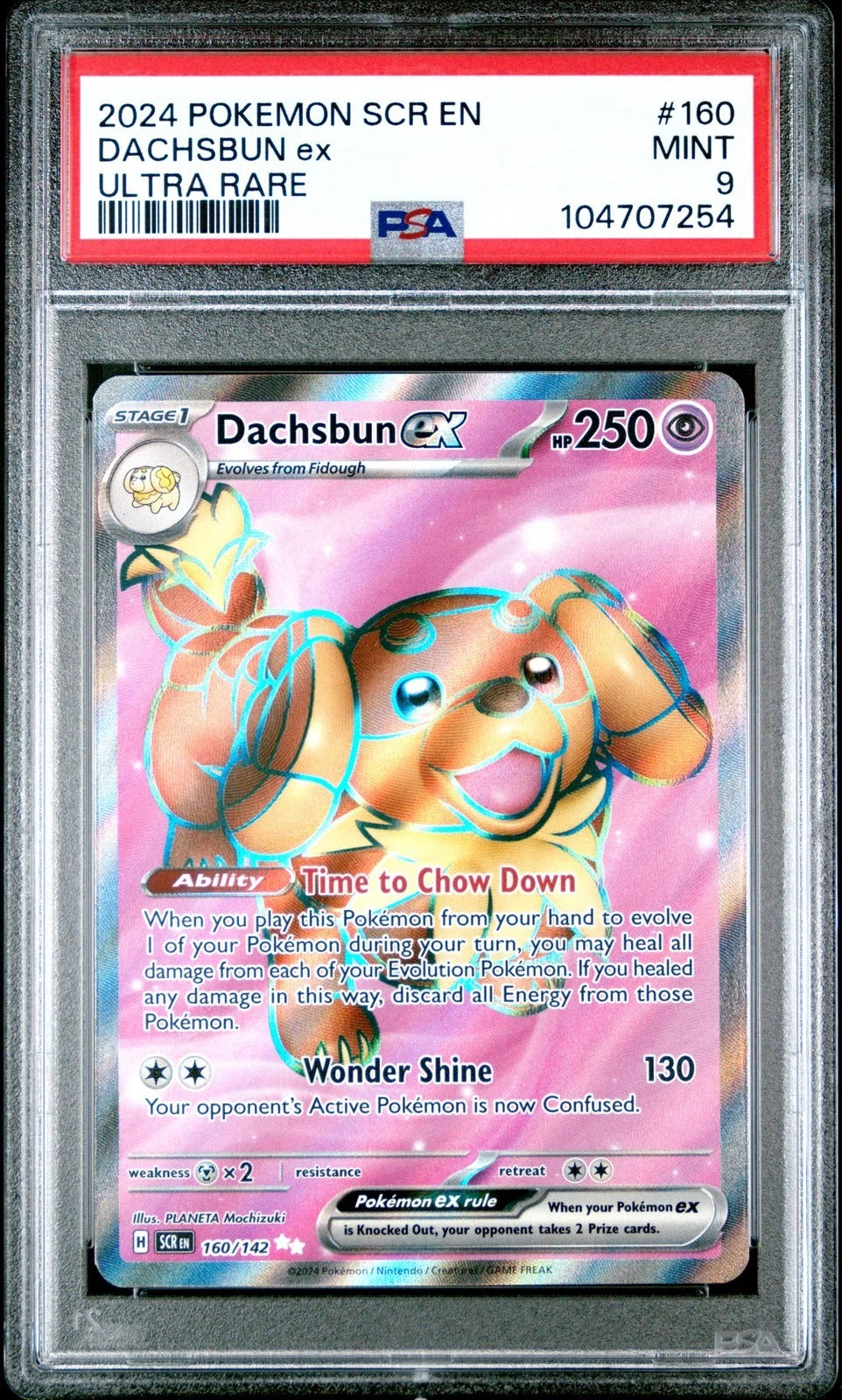 DACHSBUN ex