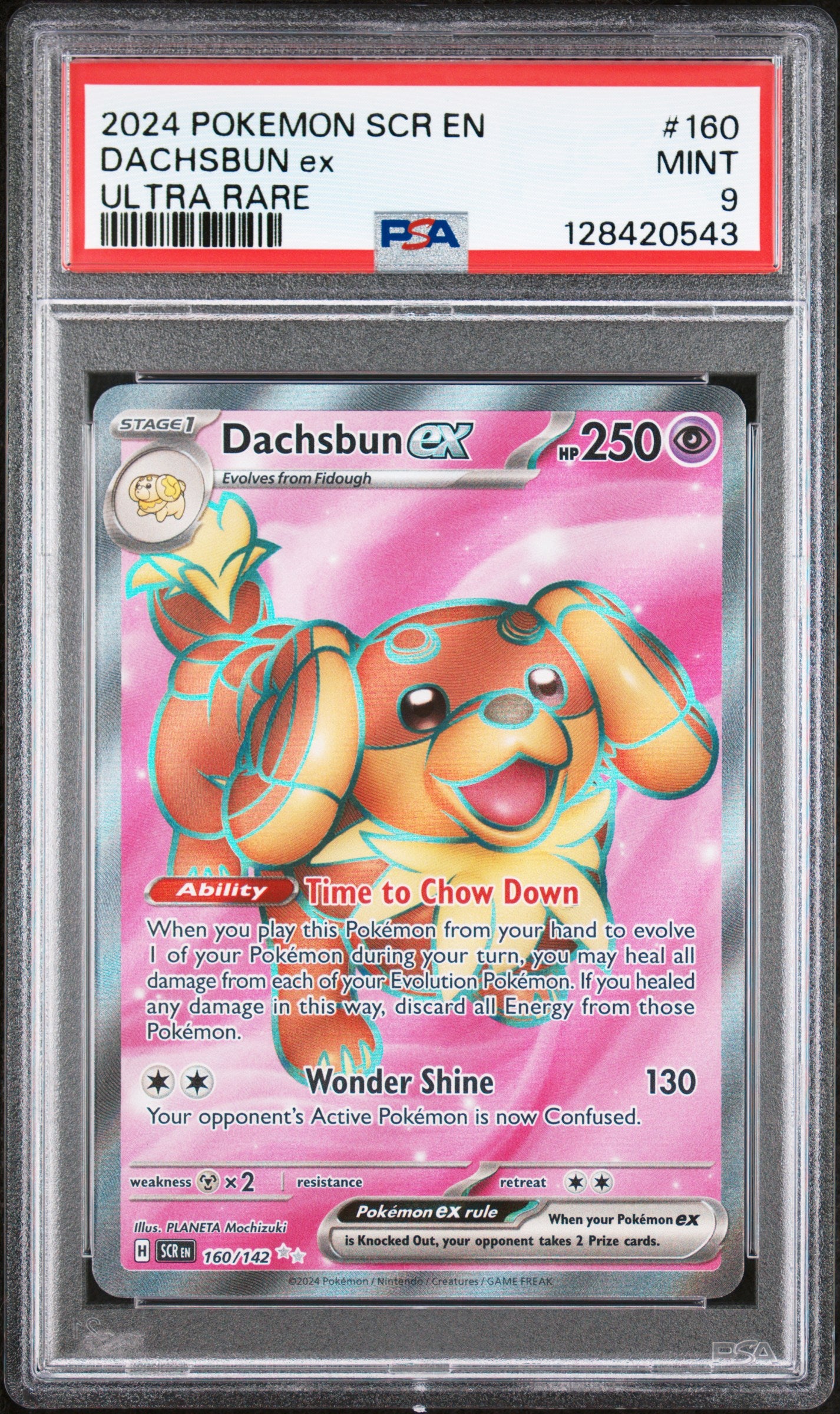DACHSBUN ex