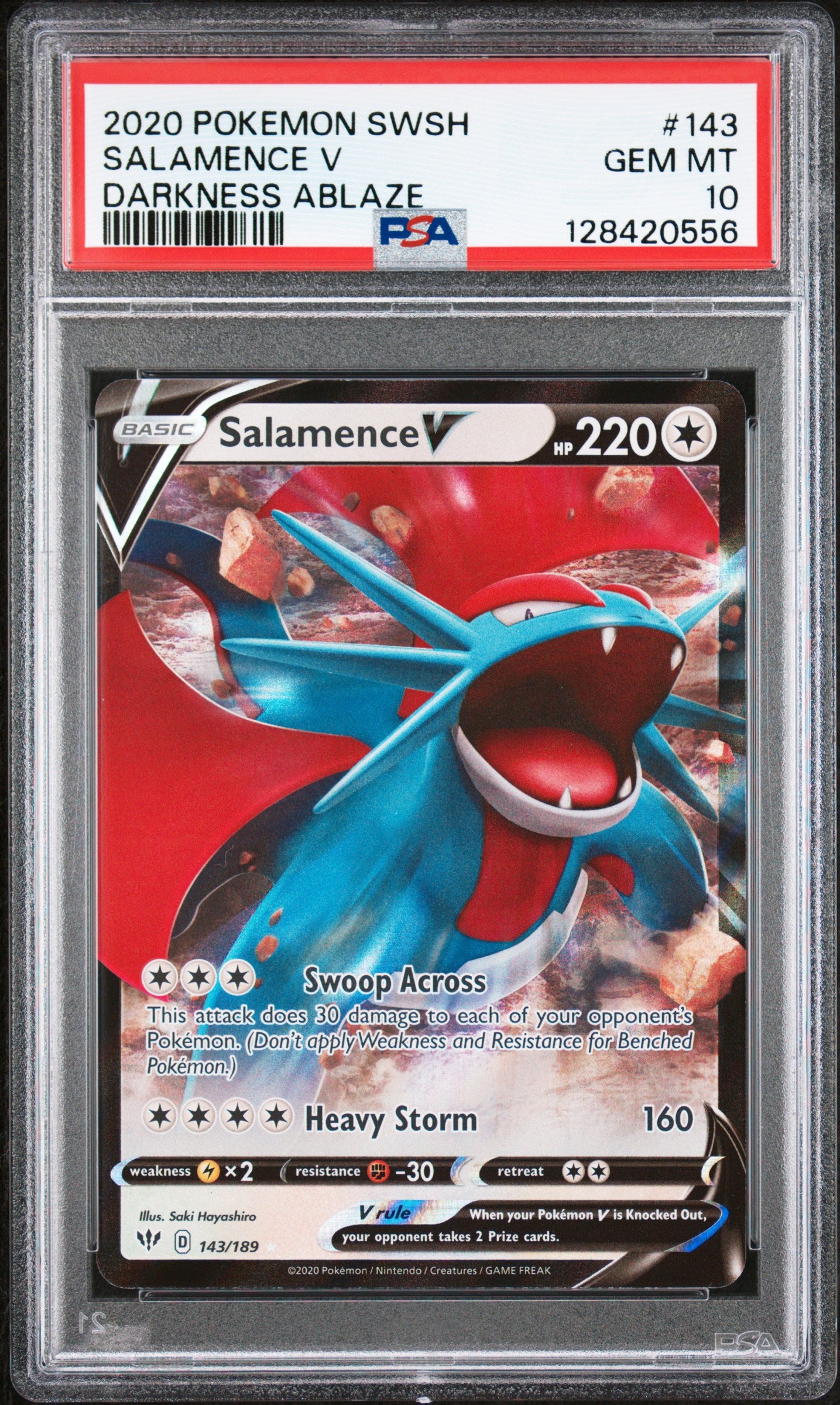 SALAMENCE V