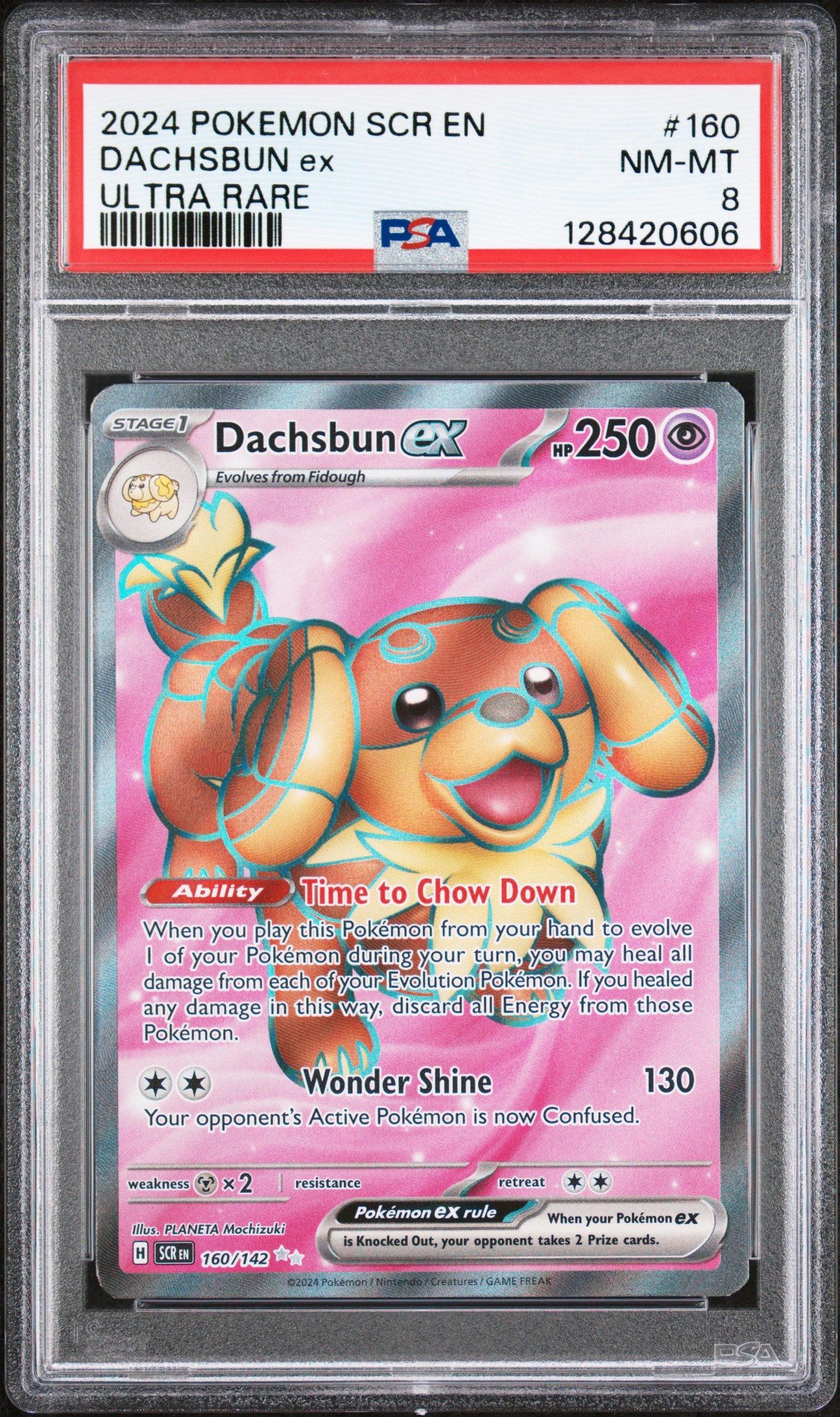 DACHSBUN ex