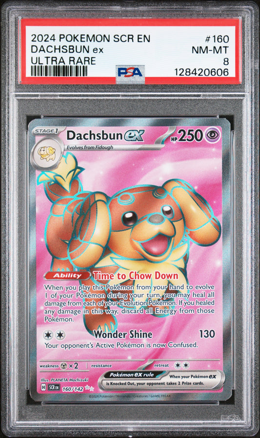 DACHSBUN ex