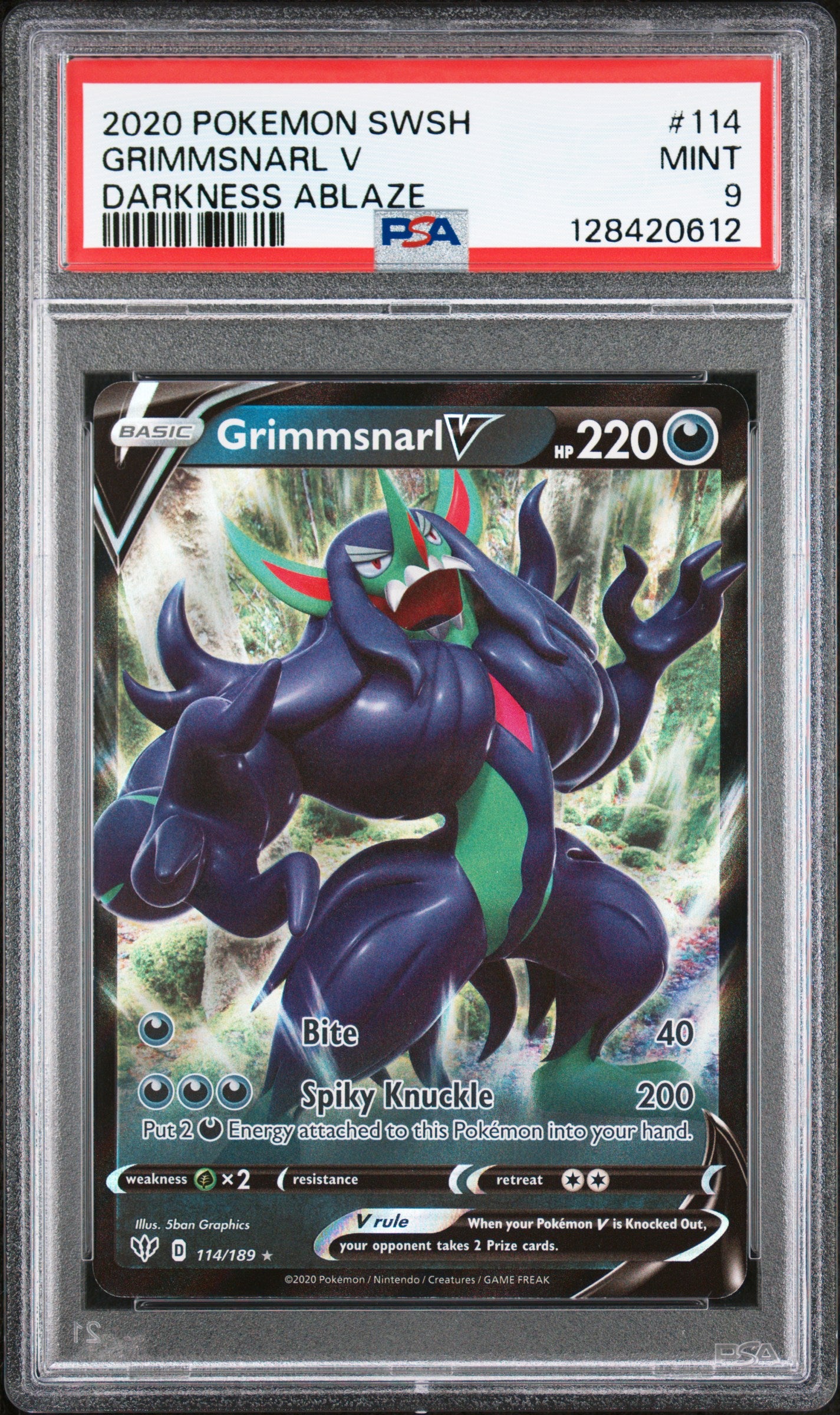 GRIMMSNARL V