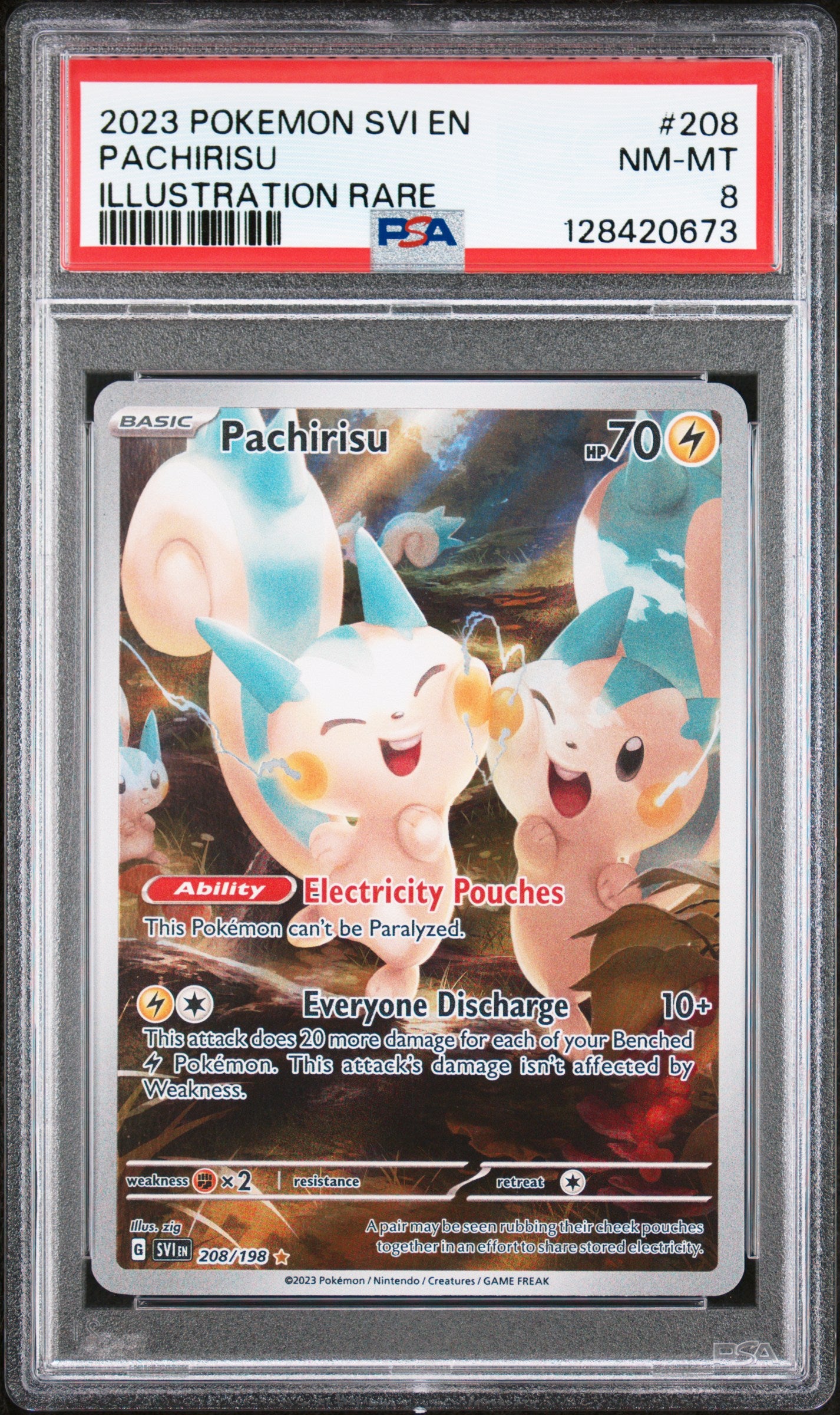 PACHIRISU