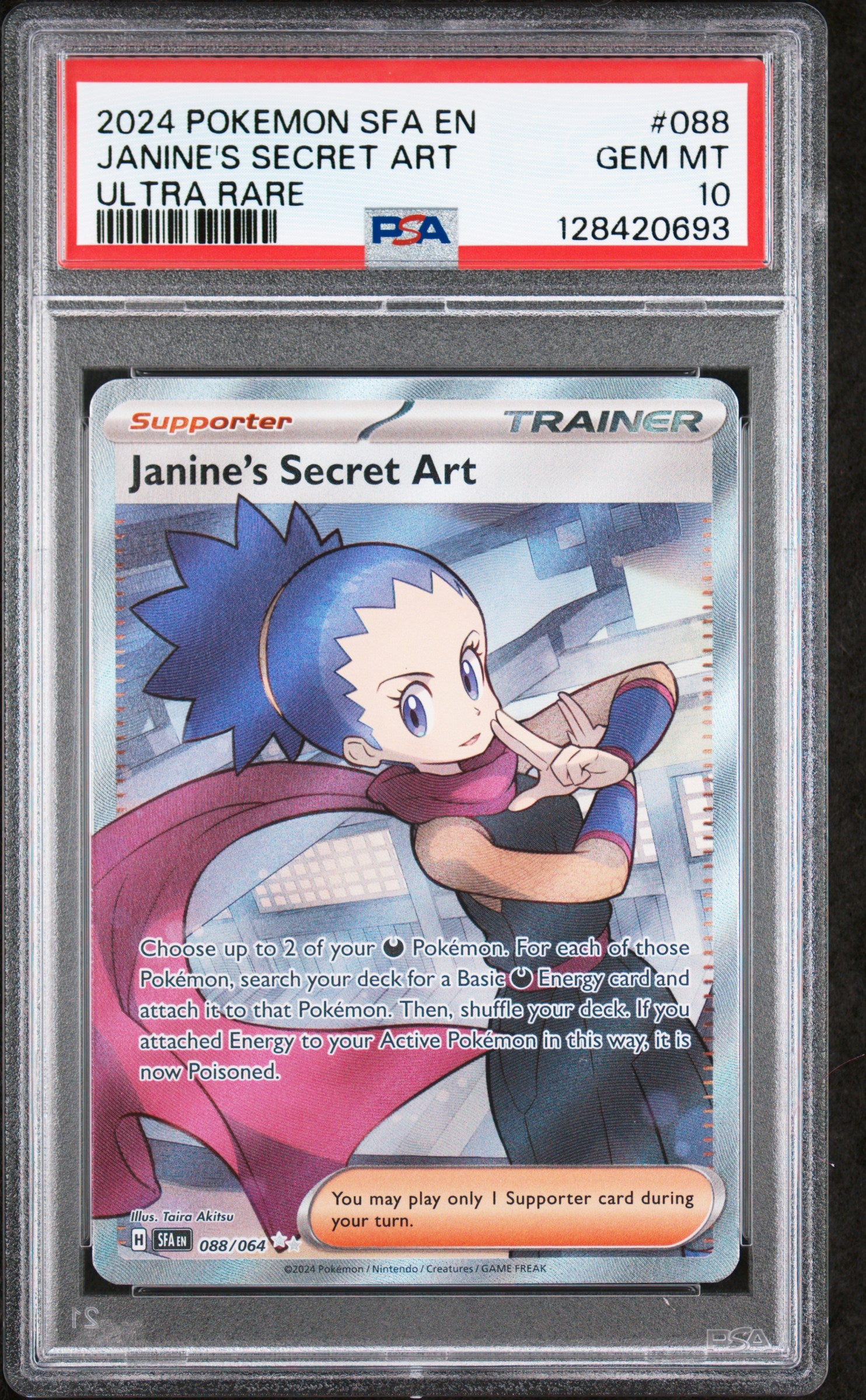 JANINE'S SECRET ART