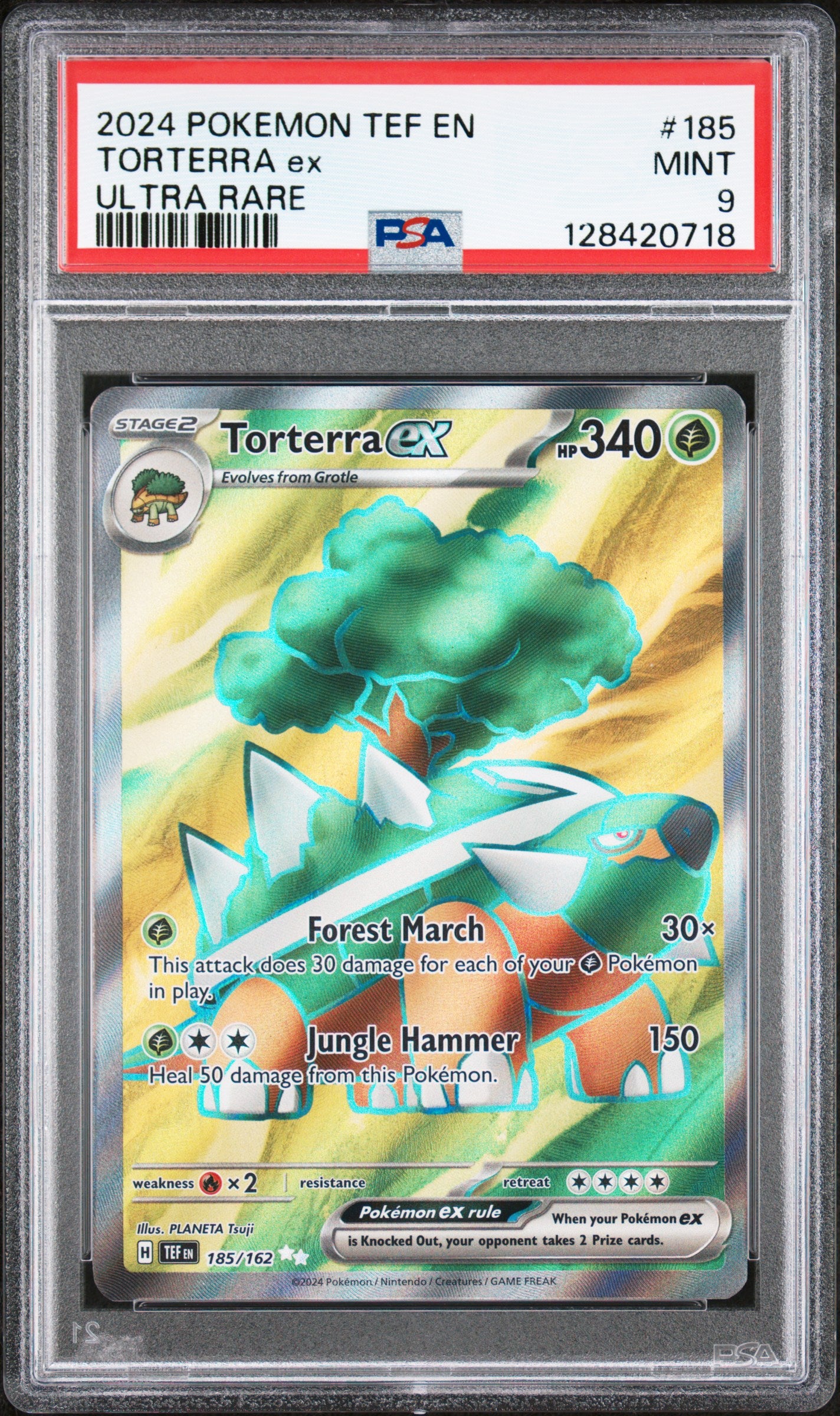 TORTERRA ex