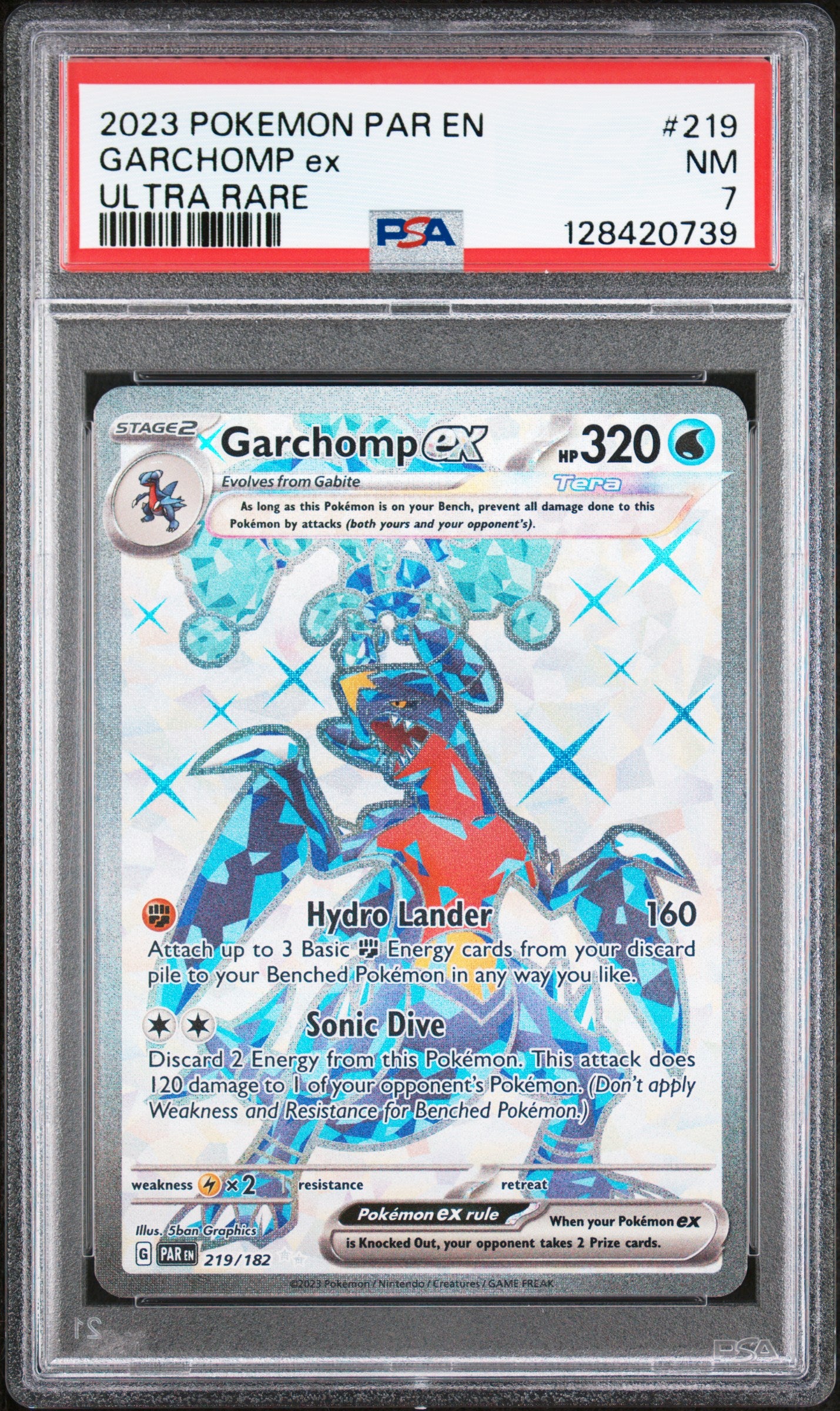 GARCHOMP ex
