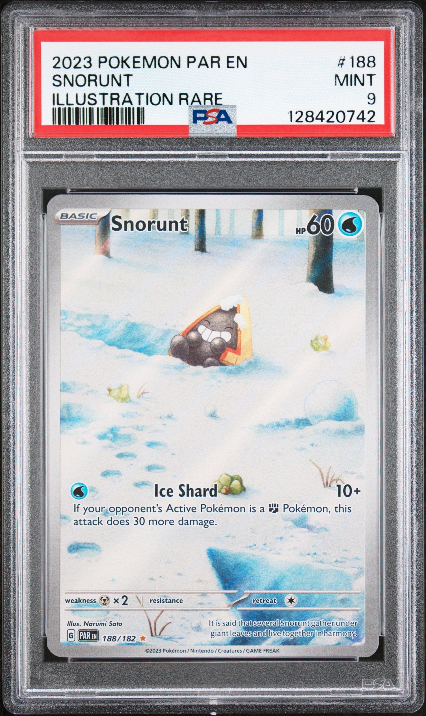 SNORUNT