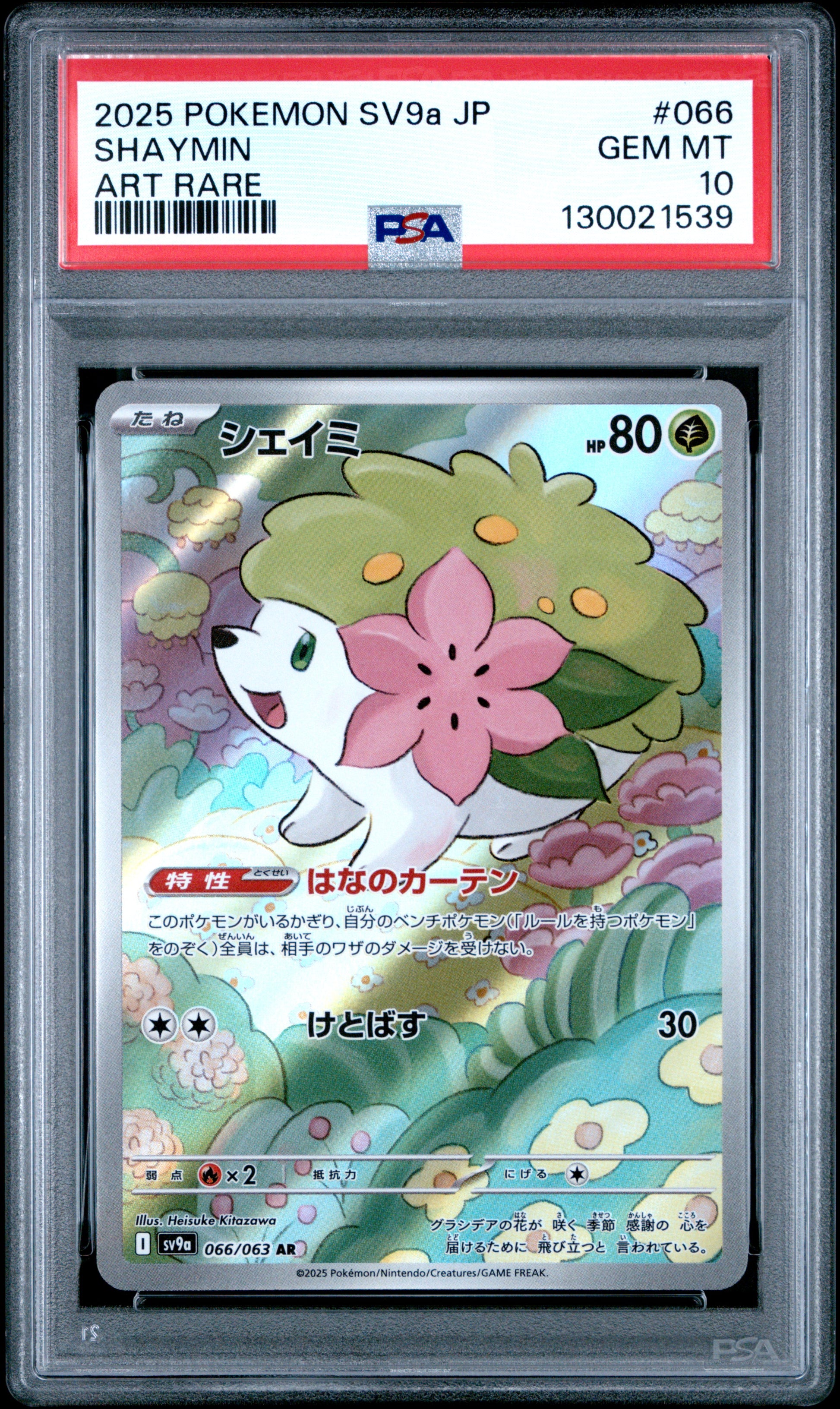 SHAYMIN