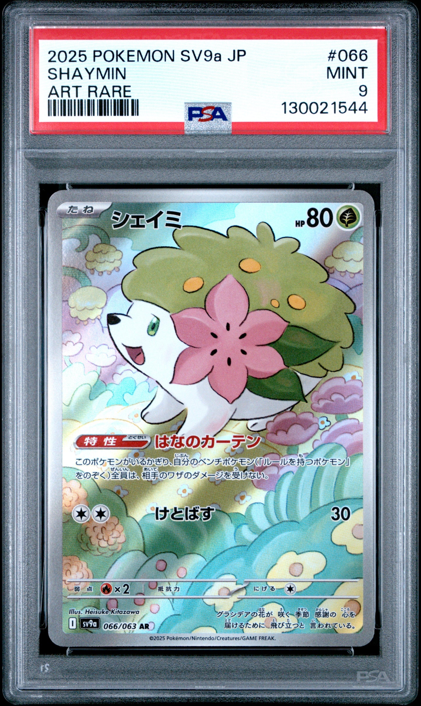 SHAYMIN